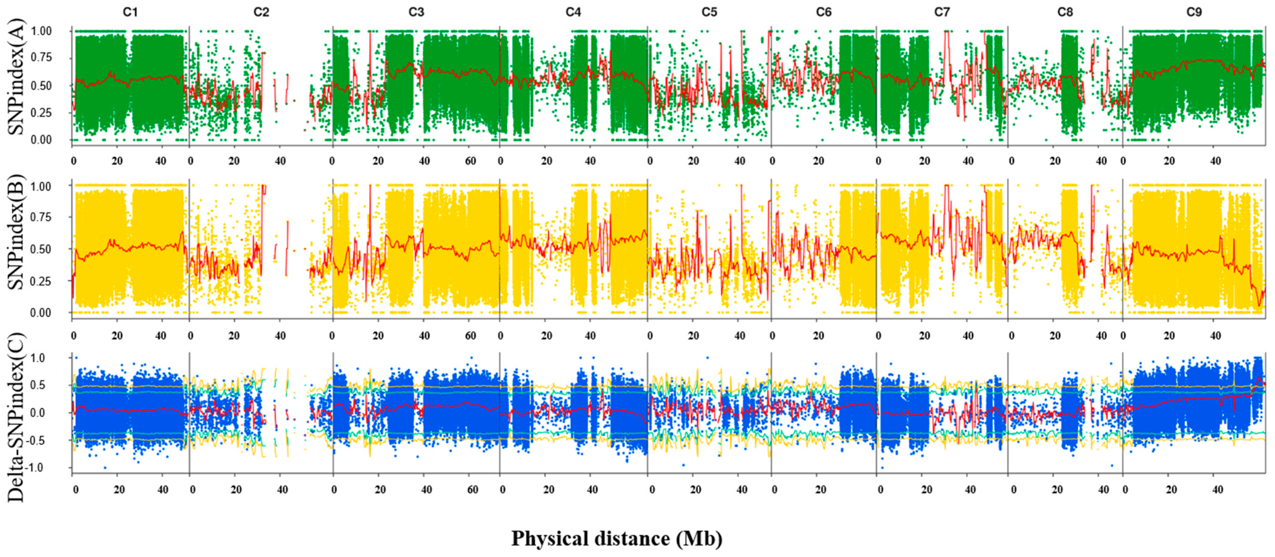Ijms 24 11391 g002 Ijms 24 11391 g002