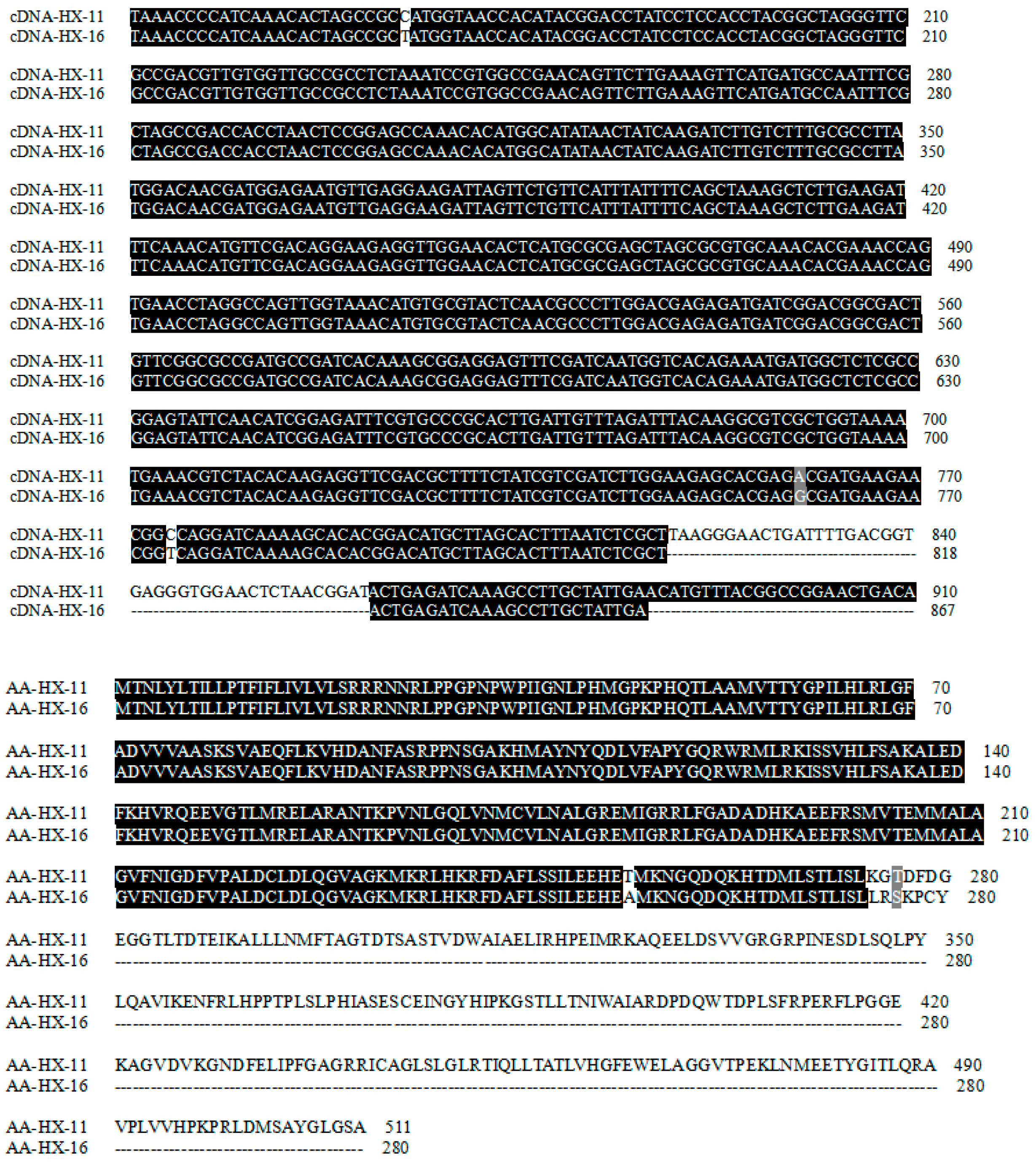 Ijms 24 11391 g005 Ijms 24 11391 g005