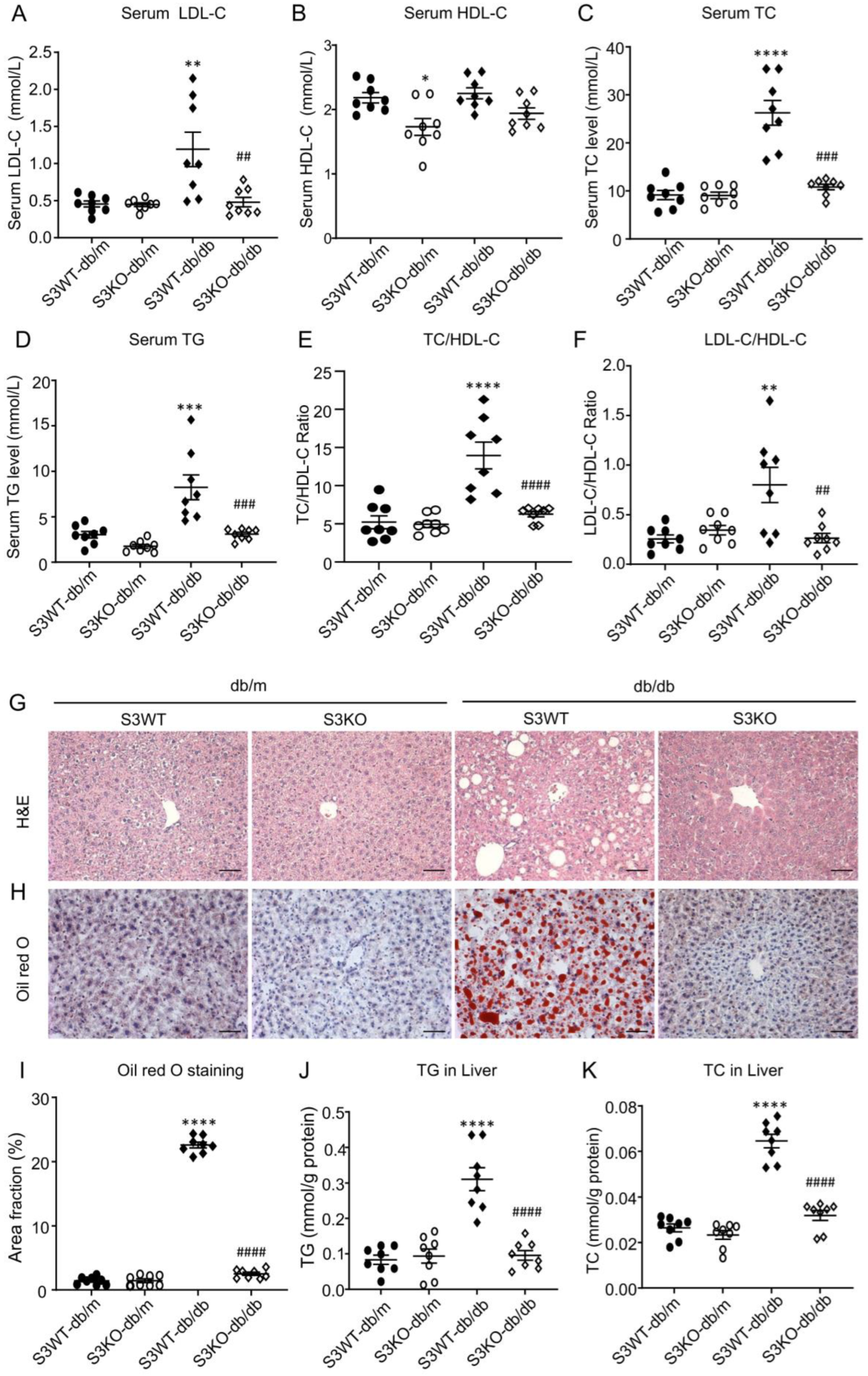 Ijms 24 11396 g001 Ijms 24 11396 g001