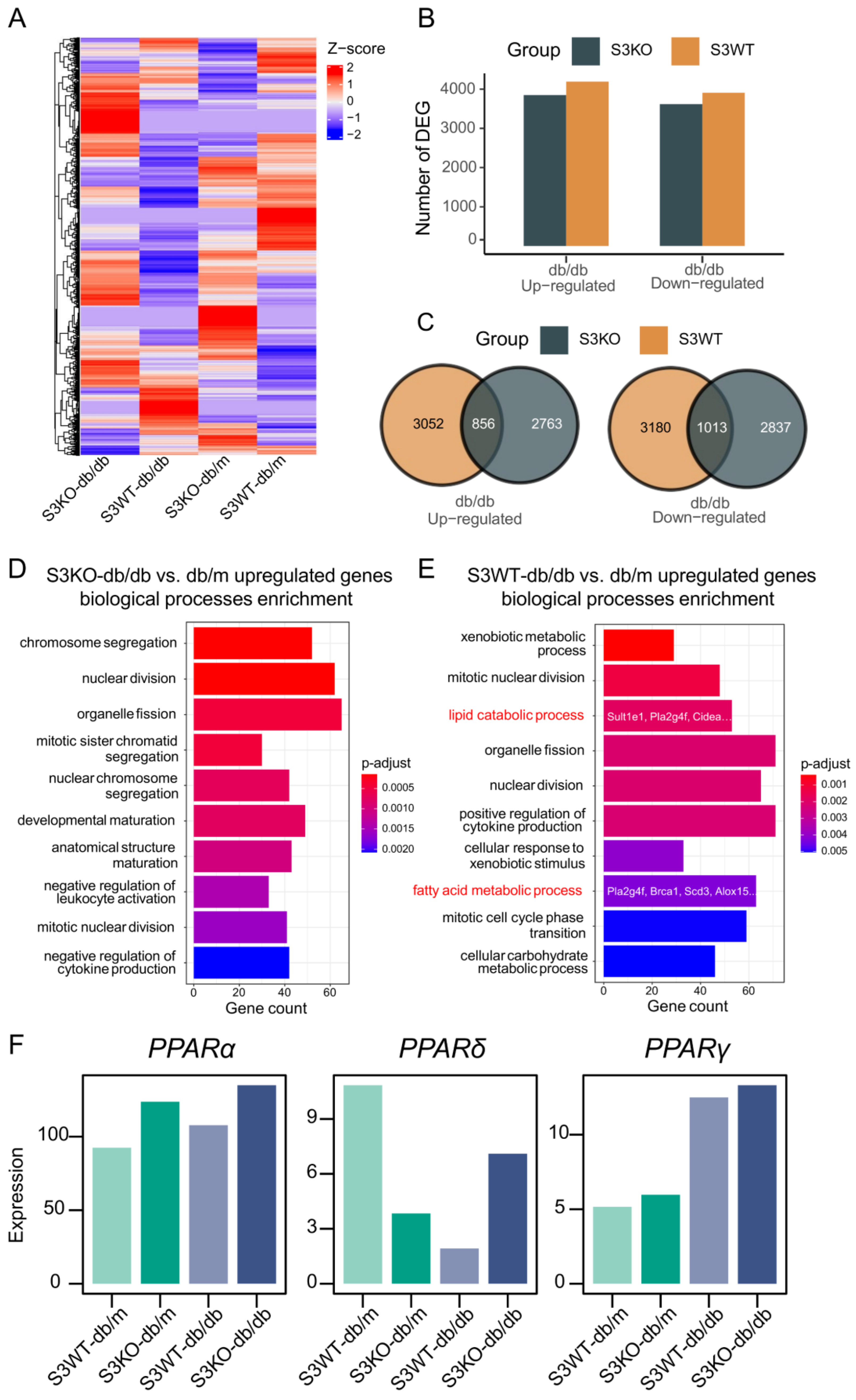 Ijms 24 11396 g002 Ijms 24 11396 g002