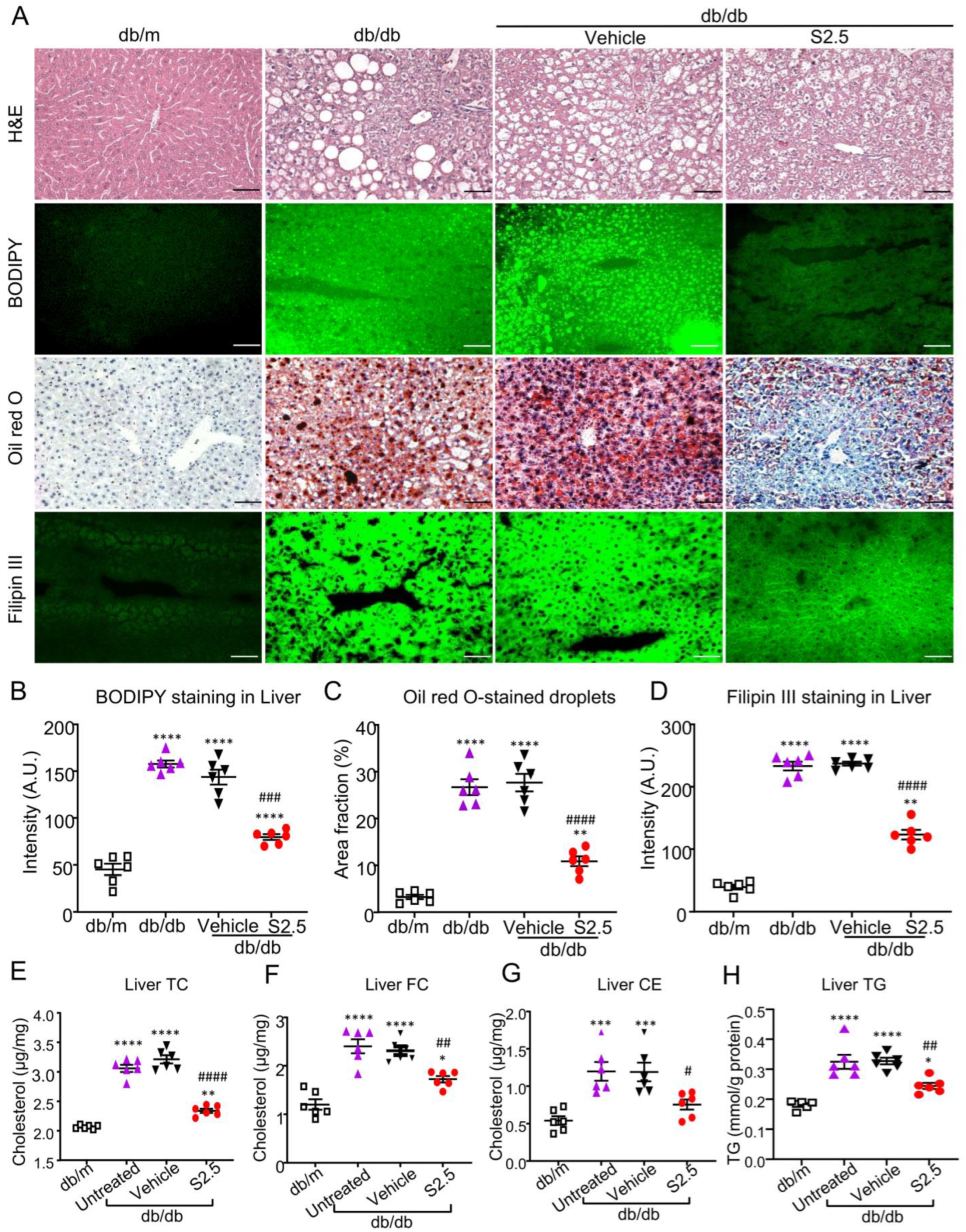 Ijms 24 11396 g005 Ijms 24 11396 g005
