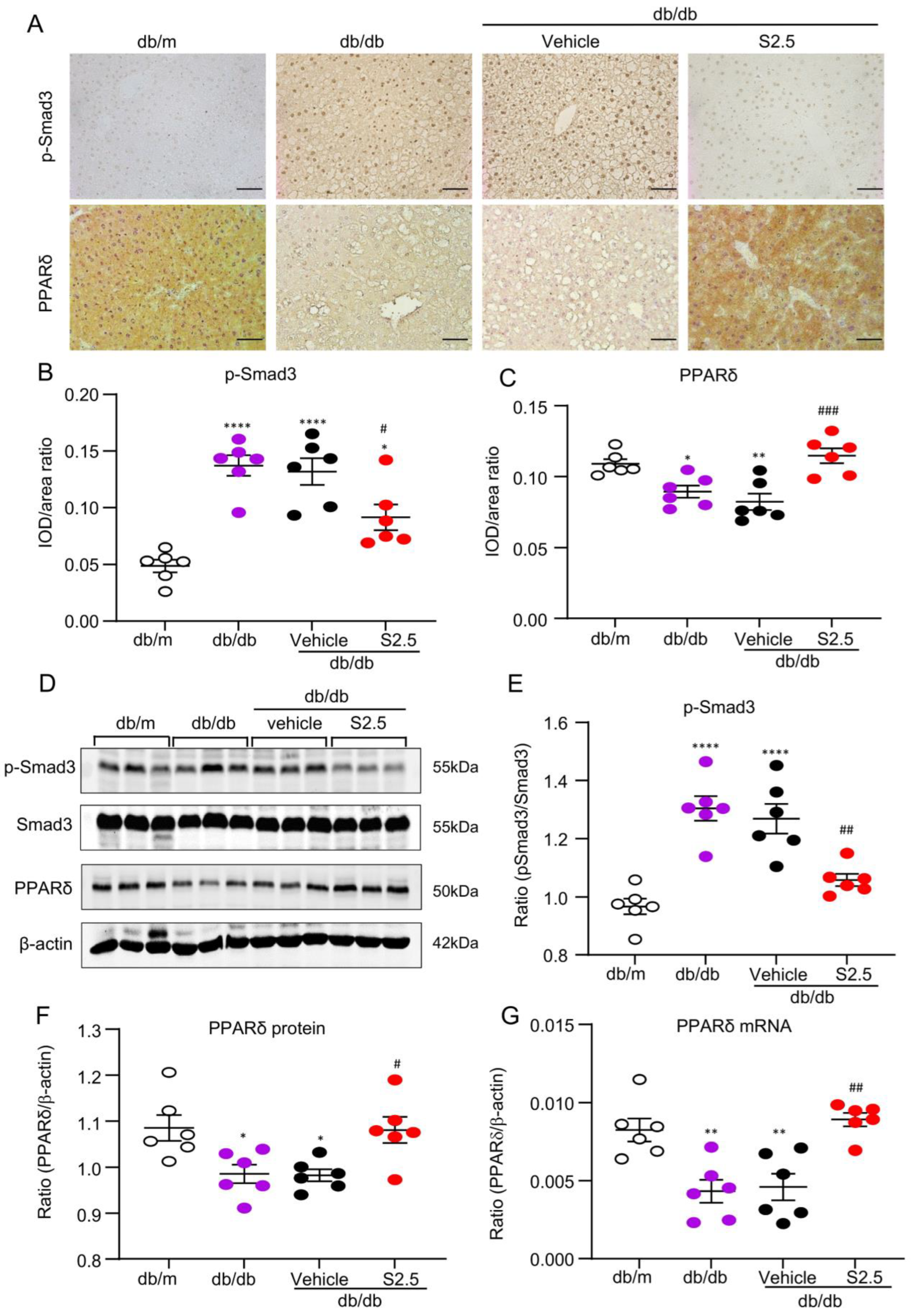 Ijms 24 11396 g006 Ijms 24 11396 g006