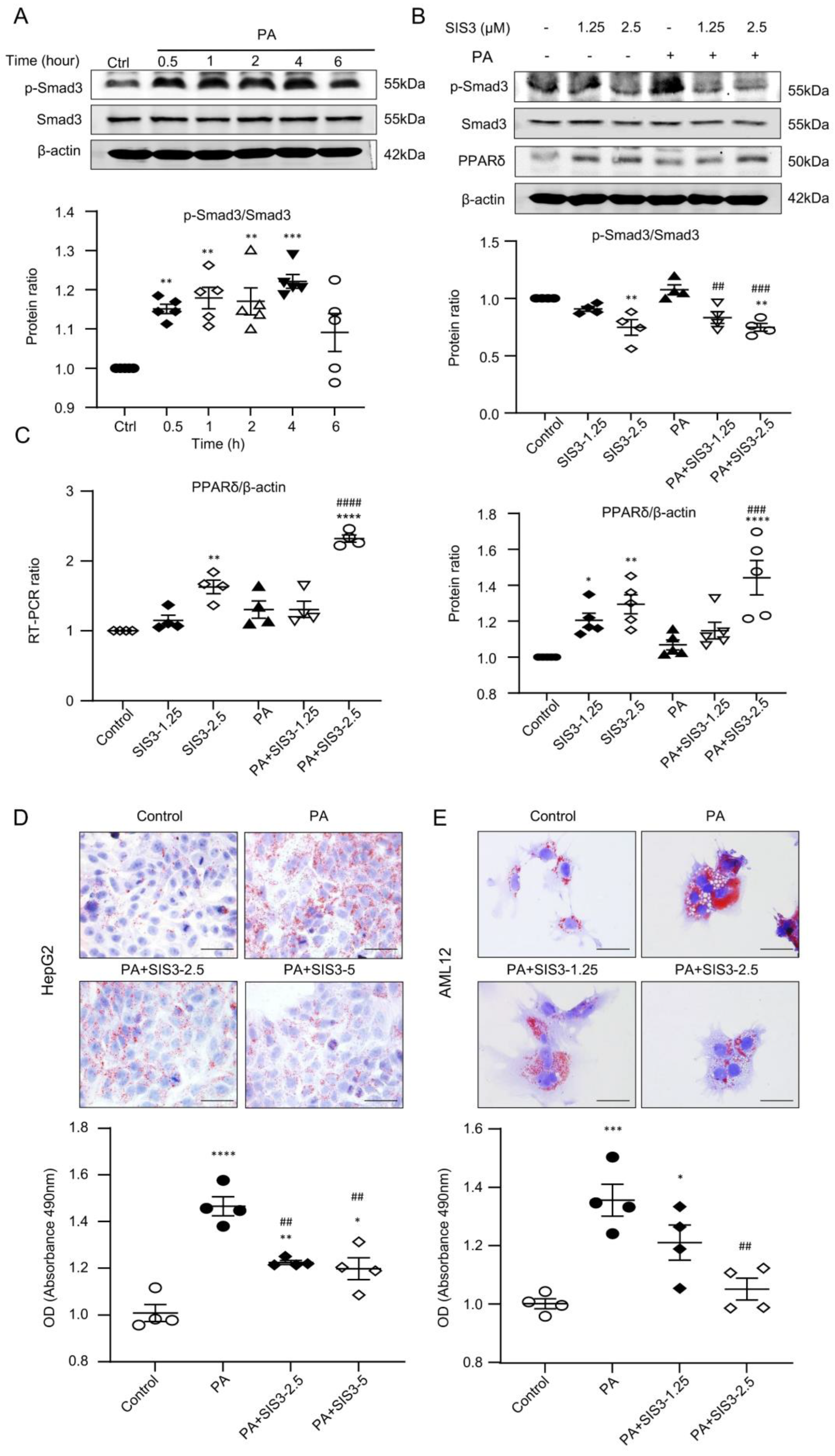 Ijms 24 11396 g007 Ijms 24 11396 g007
