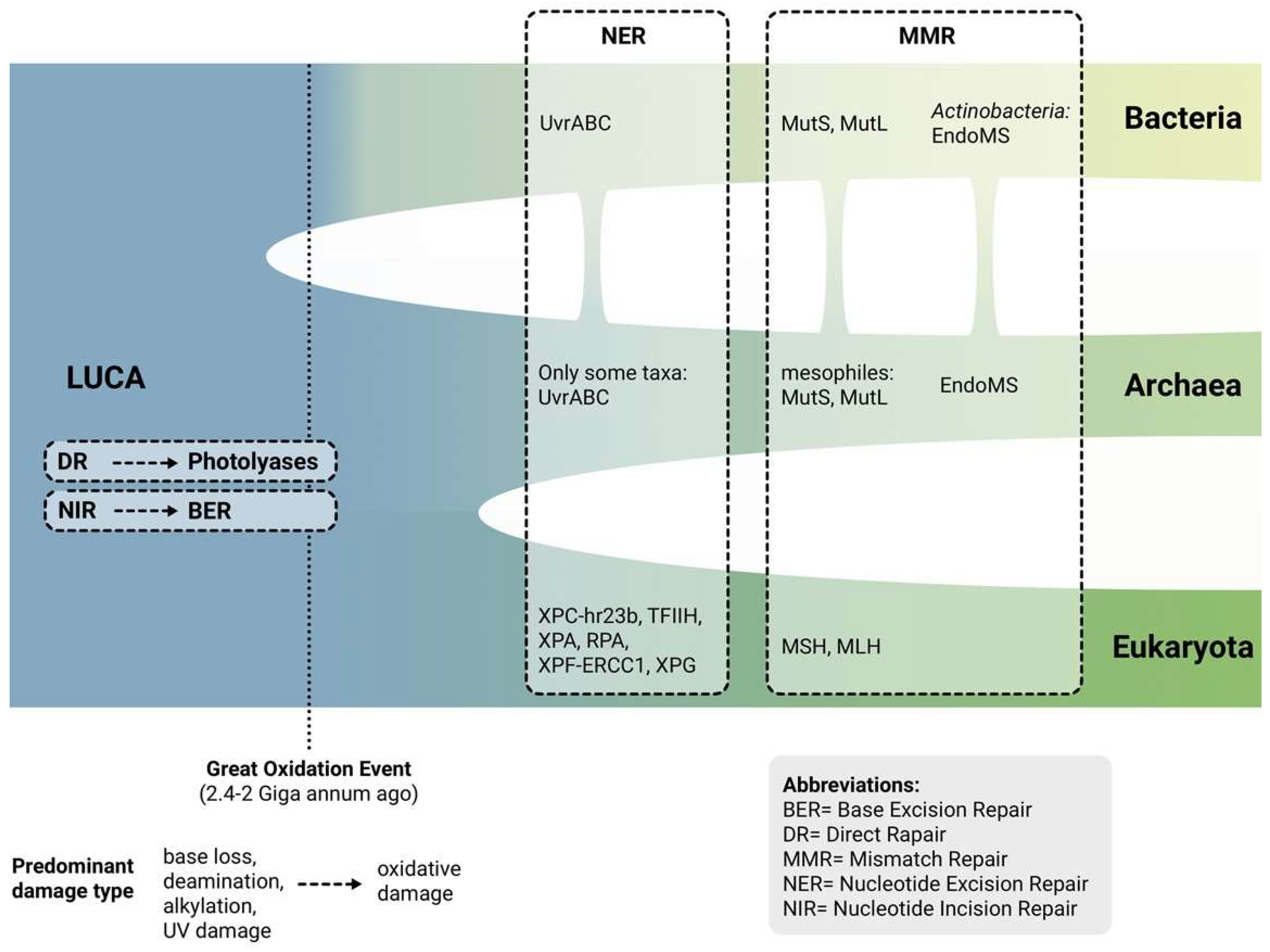 Ijms 24 11437 g003 Ijms 24 11437 g003