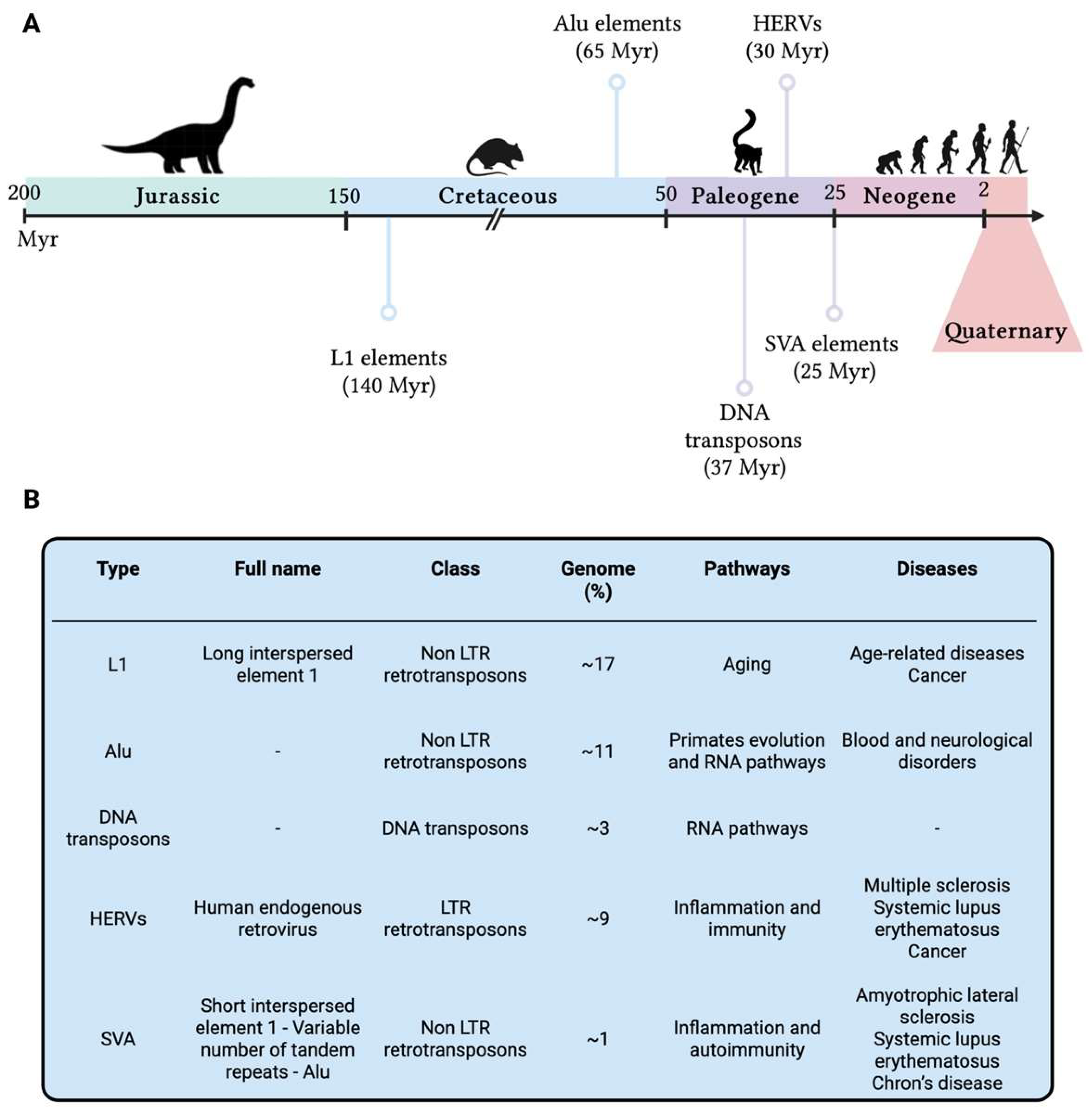 Ijms 24 11437 g005 Ijms 24 11437 g005
