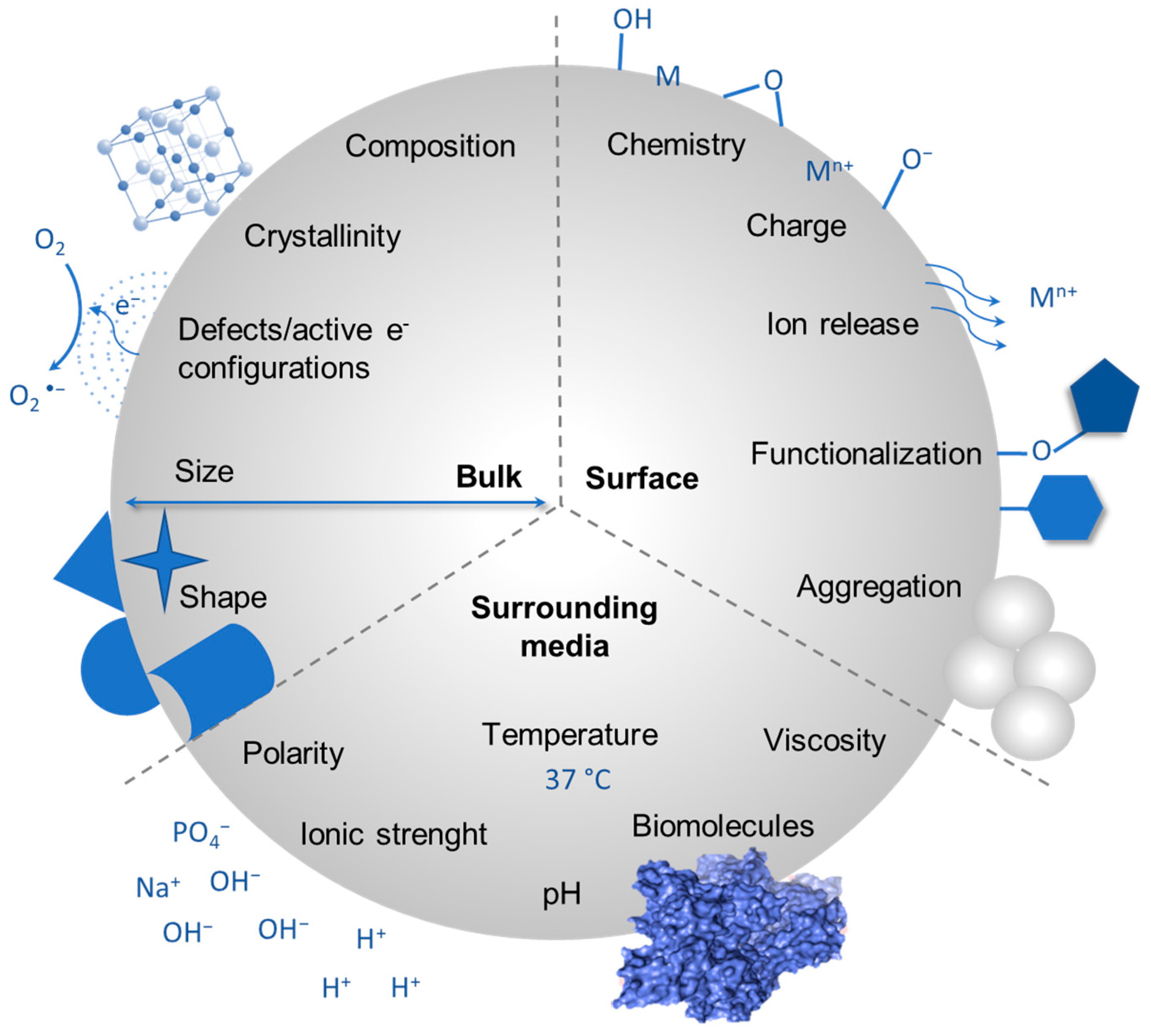 Ijms 24 11482 g001 Ijms 24 11482 g001