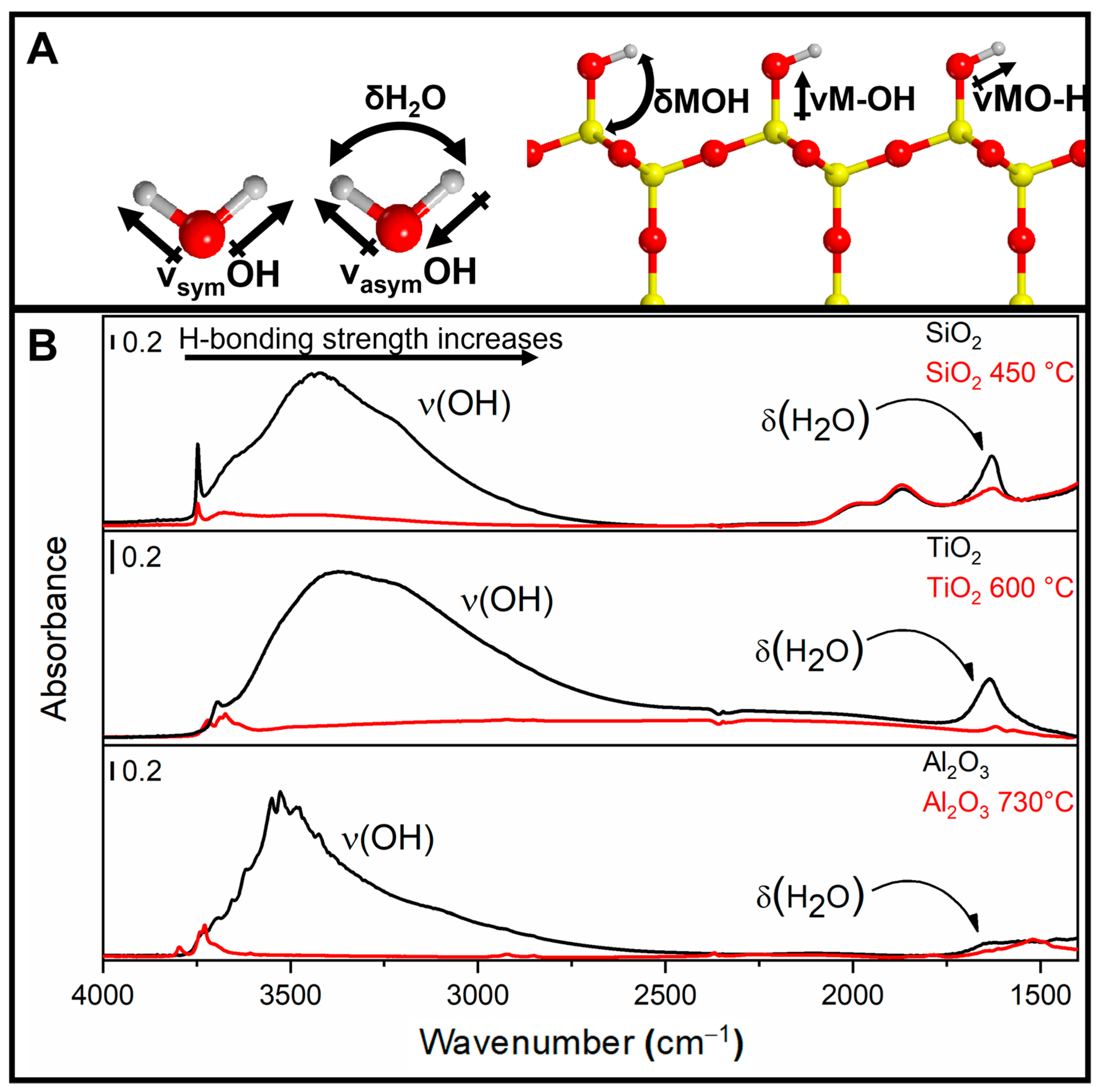 Ijms 24 11482 g005 Ijms 24 11482 g005