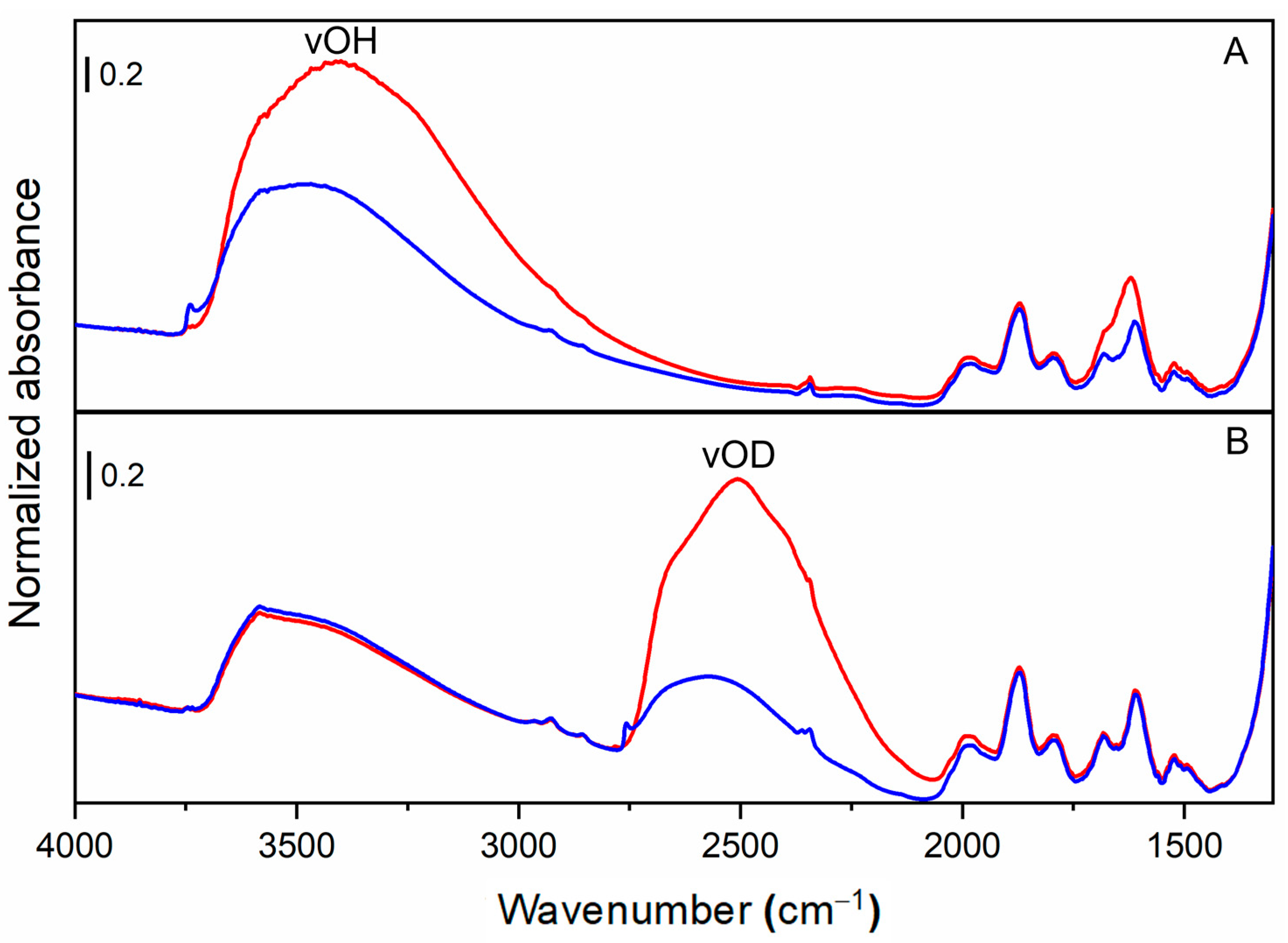 Ijms 24 11482 g007 Ijms 24 11482 g007
