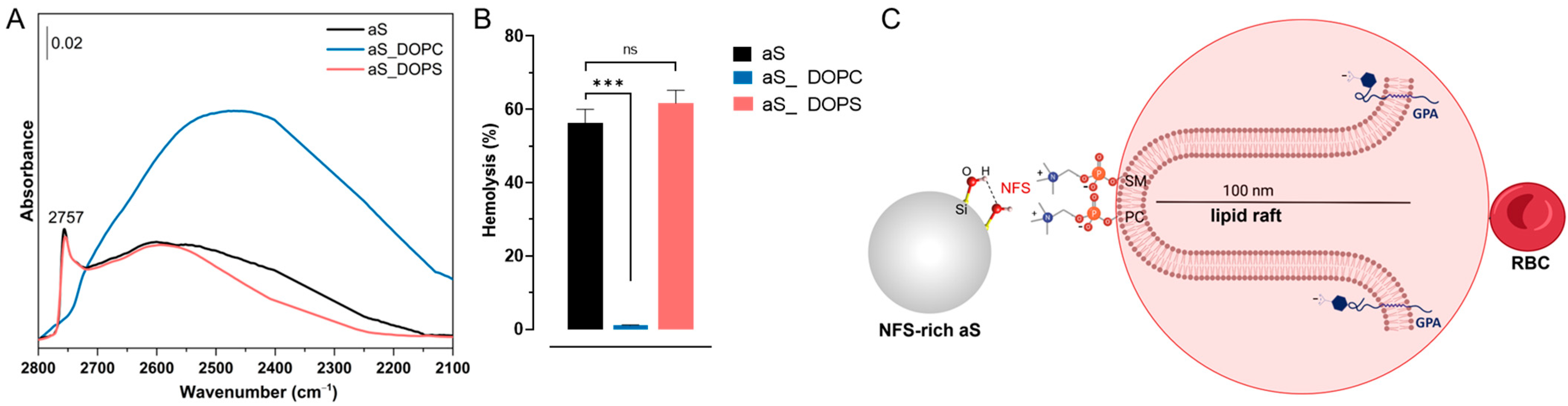 Ijms 24 11482 g015 Ijms 24 11482 g015