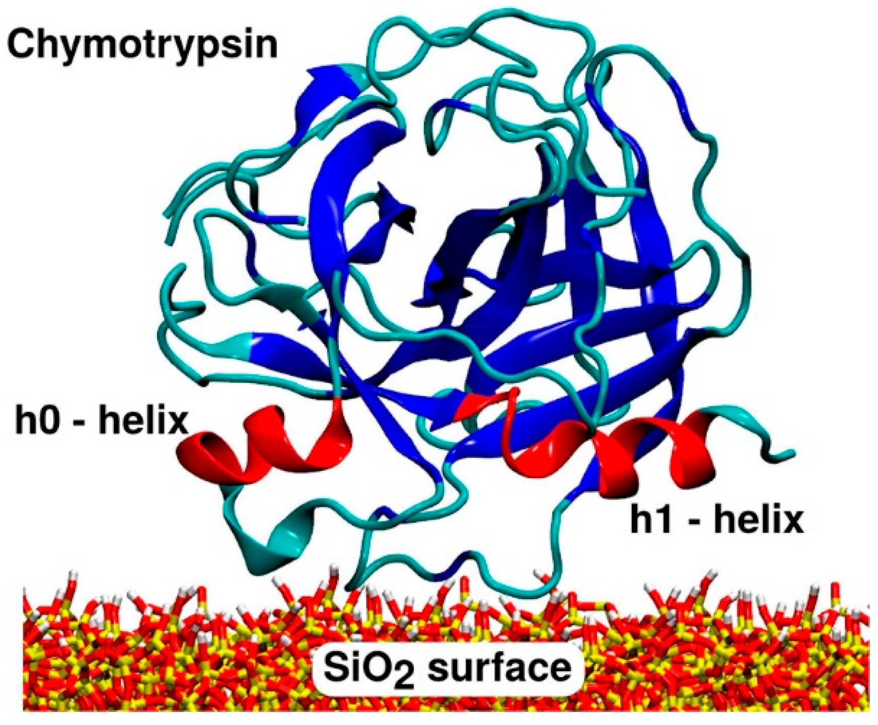 Ijms 24 11482 g018 Ijms 24 11482 g018