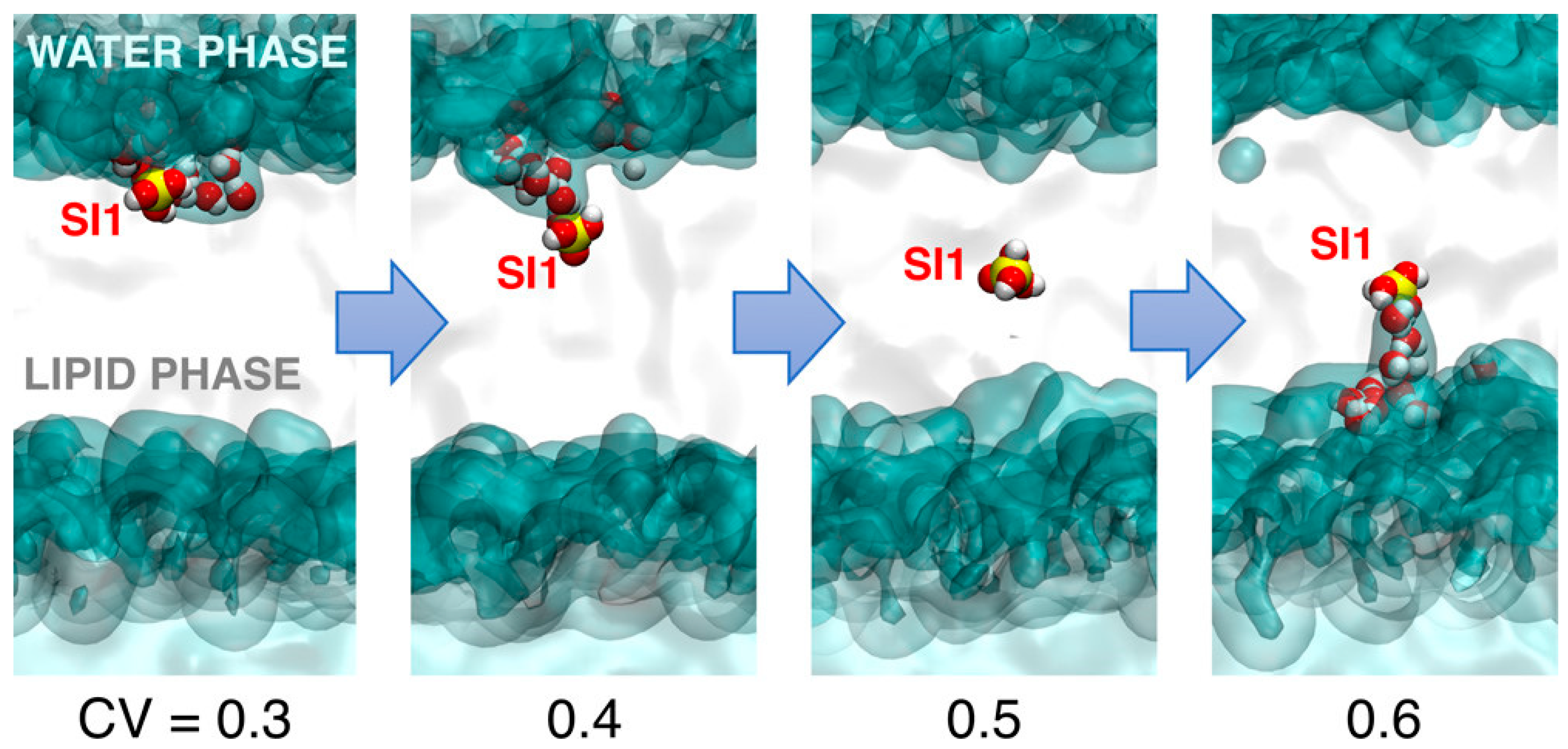 Ijms 24 11482 g019 Ijms 24 11482 g019