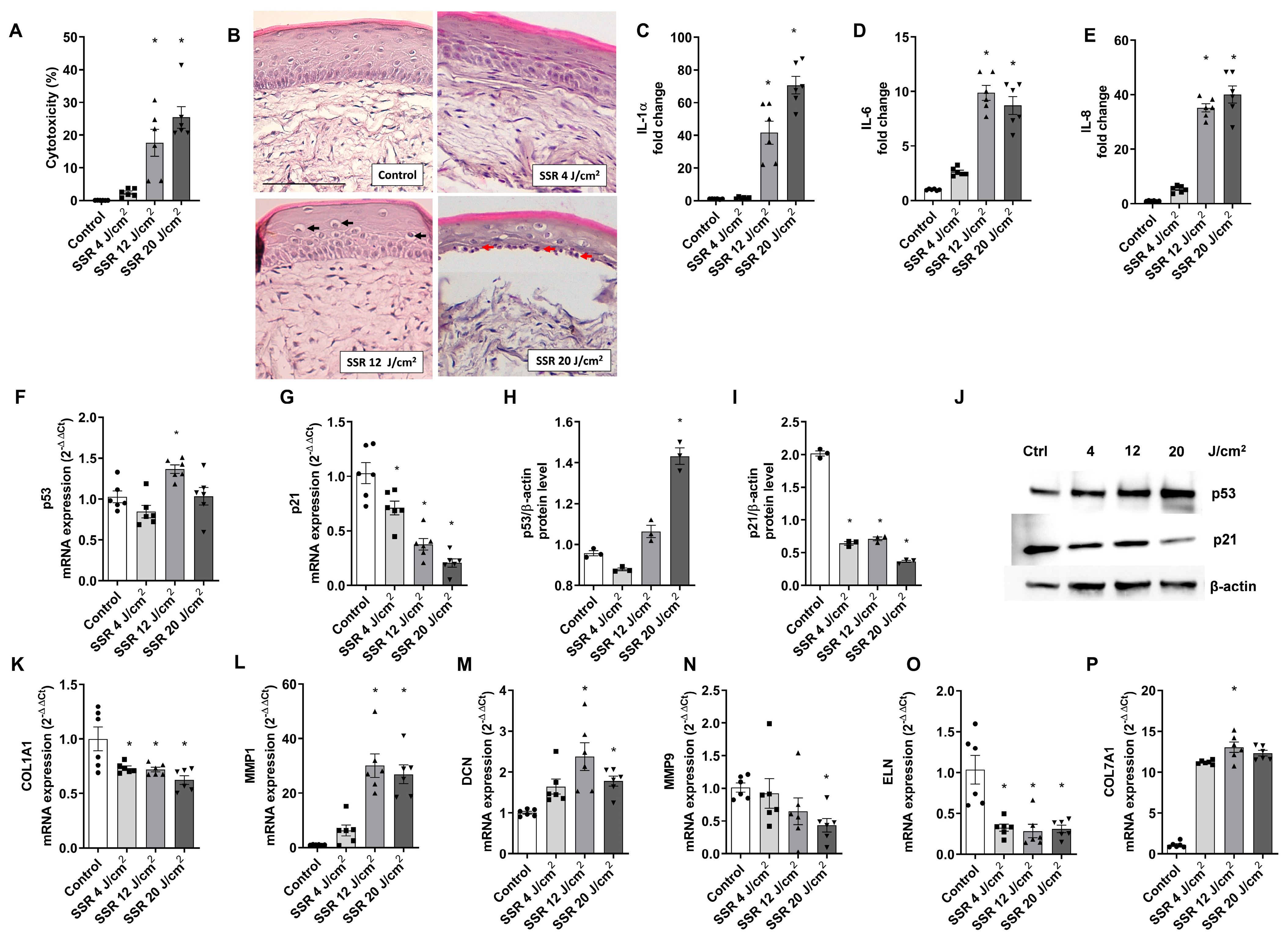 Ijms 24 11484 g001 Ijms 24 11484 g001