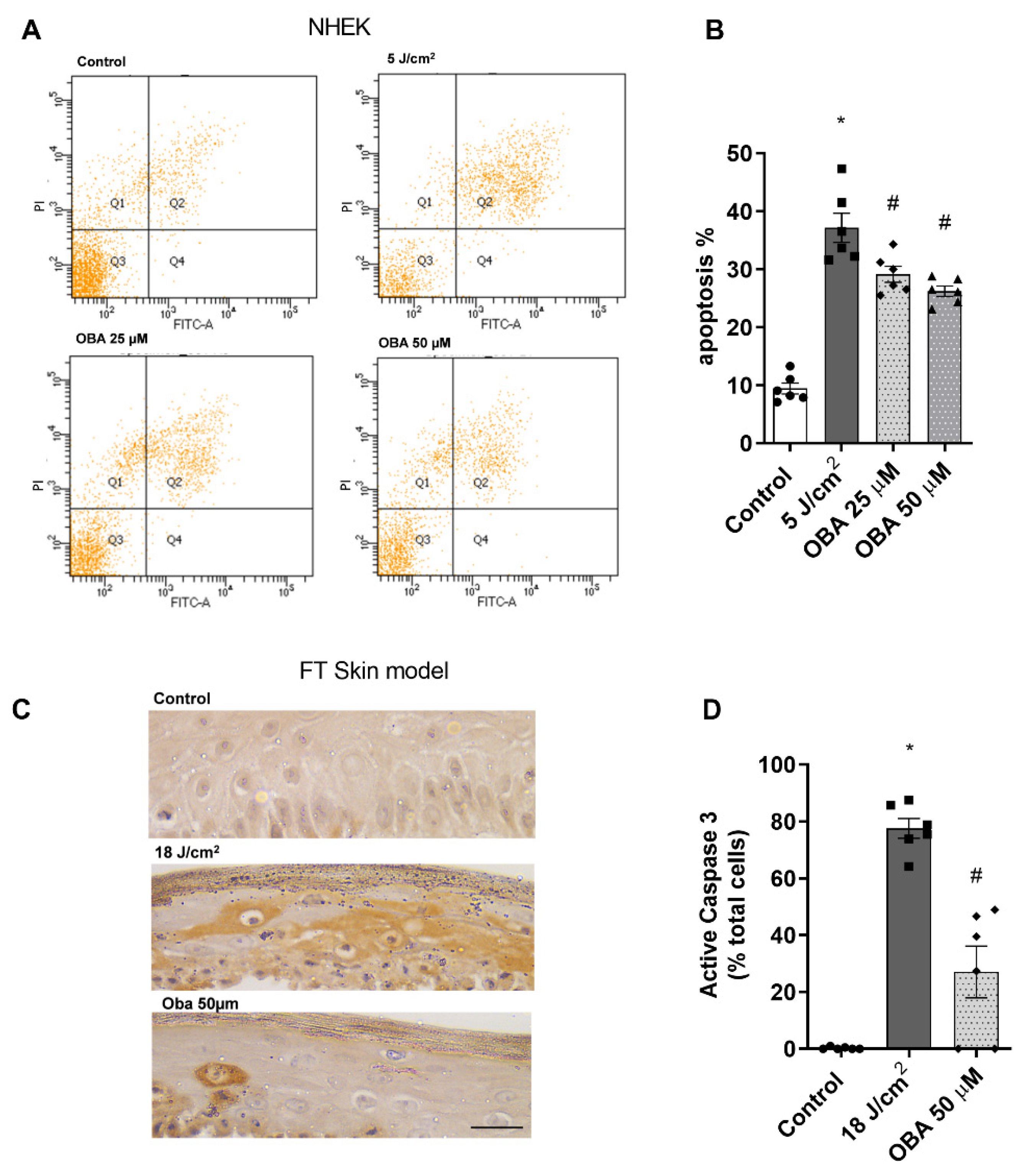 Ijms 24 11484 g003 Ijms 24 11484 g003