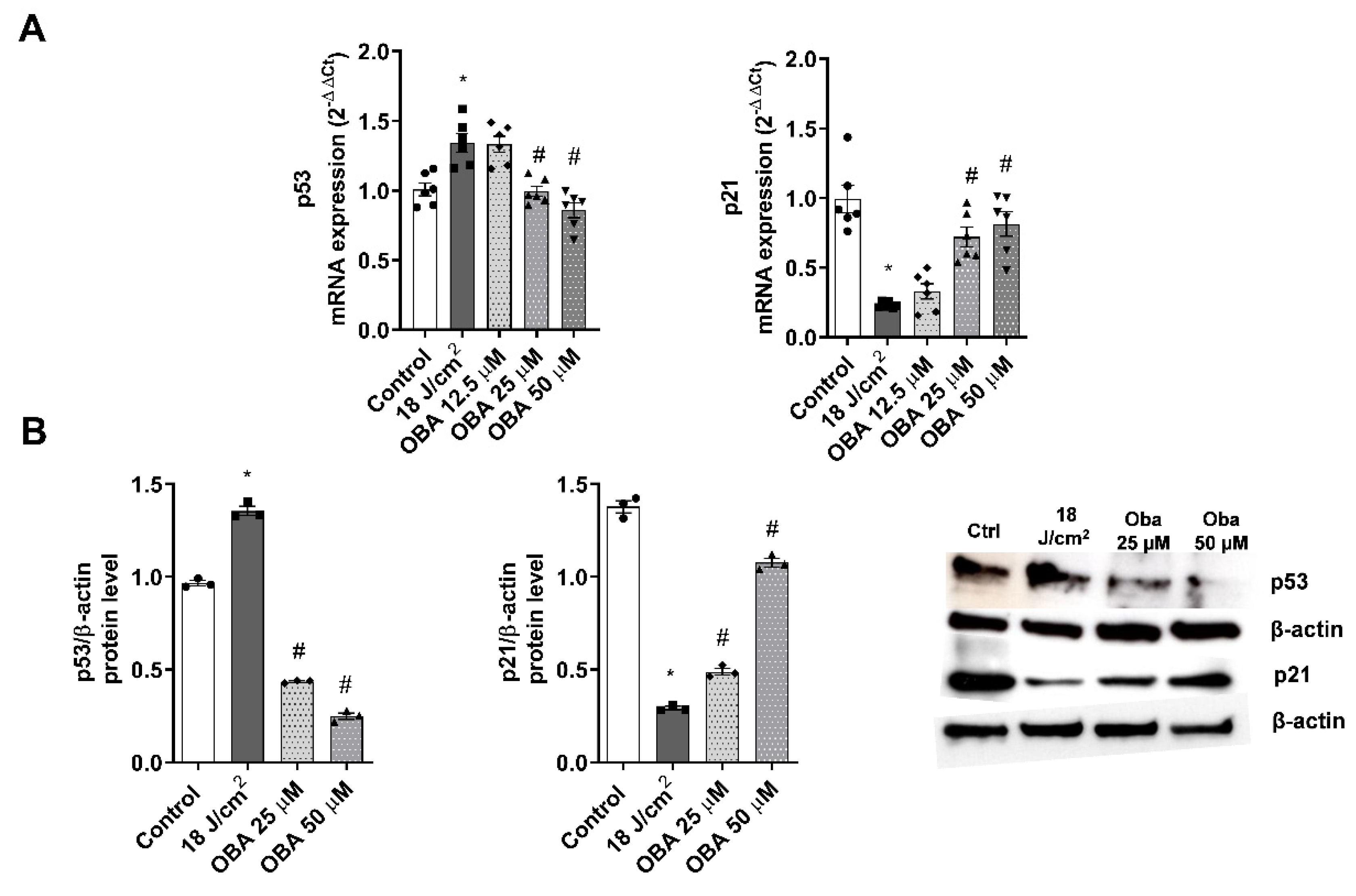 Ijms 24 11484 g006 Ijms 24 11484 g006