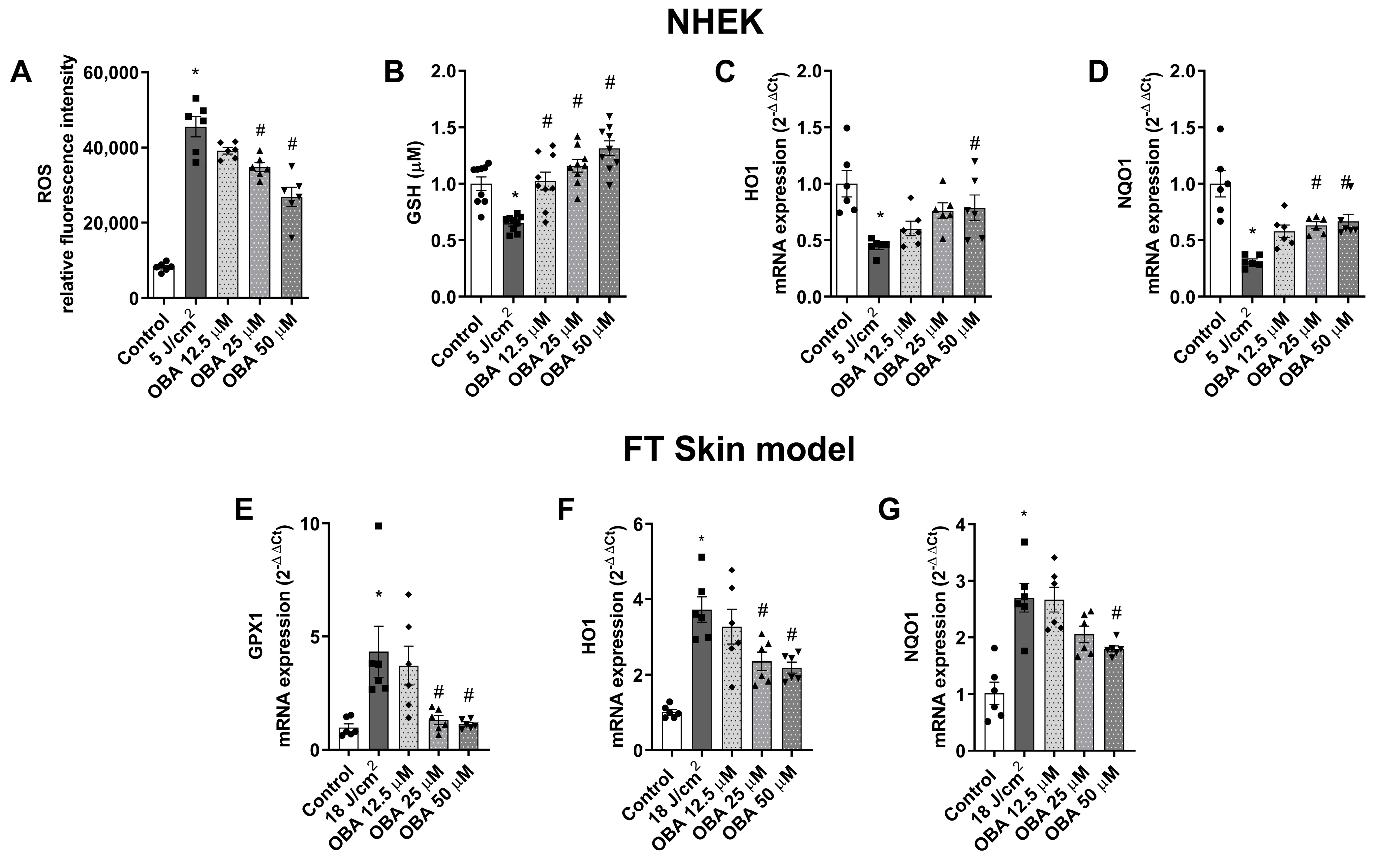 Ijms 24 11484 g007 Ijms 24 11484 g007