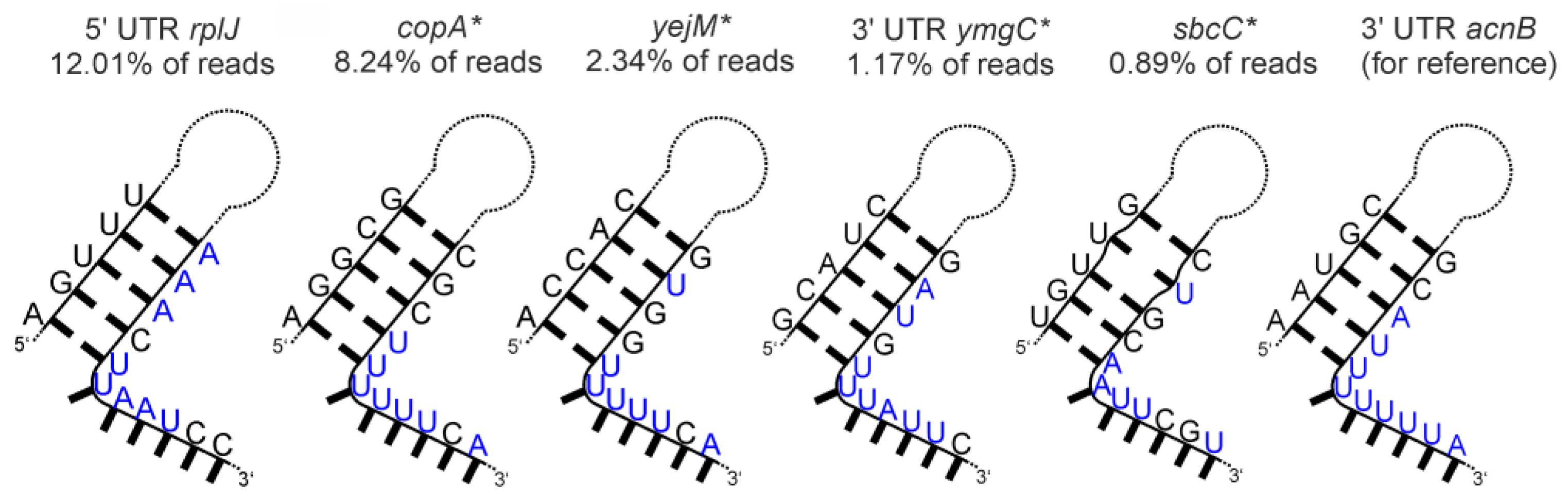 Ijms 24 11536 g006