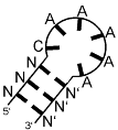 Ijms 24 11536 i001