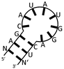 Ijms 24 11536 i005