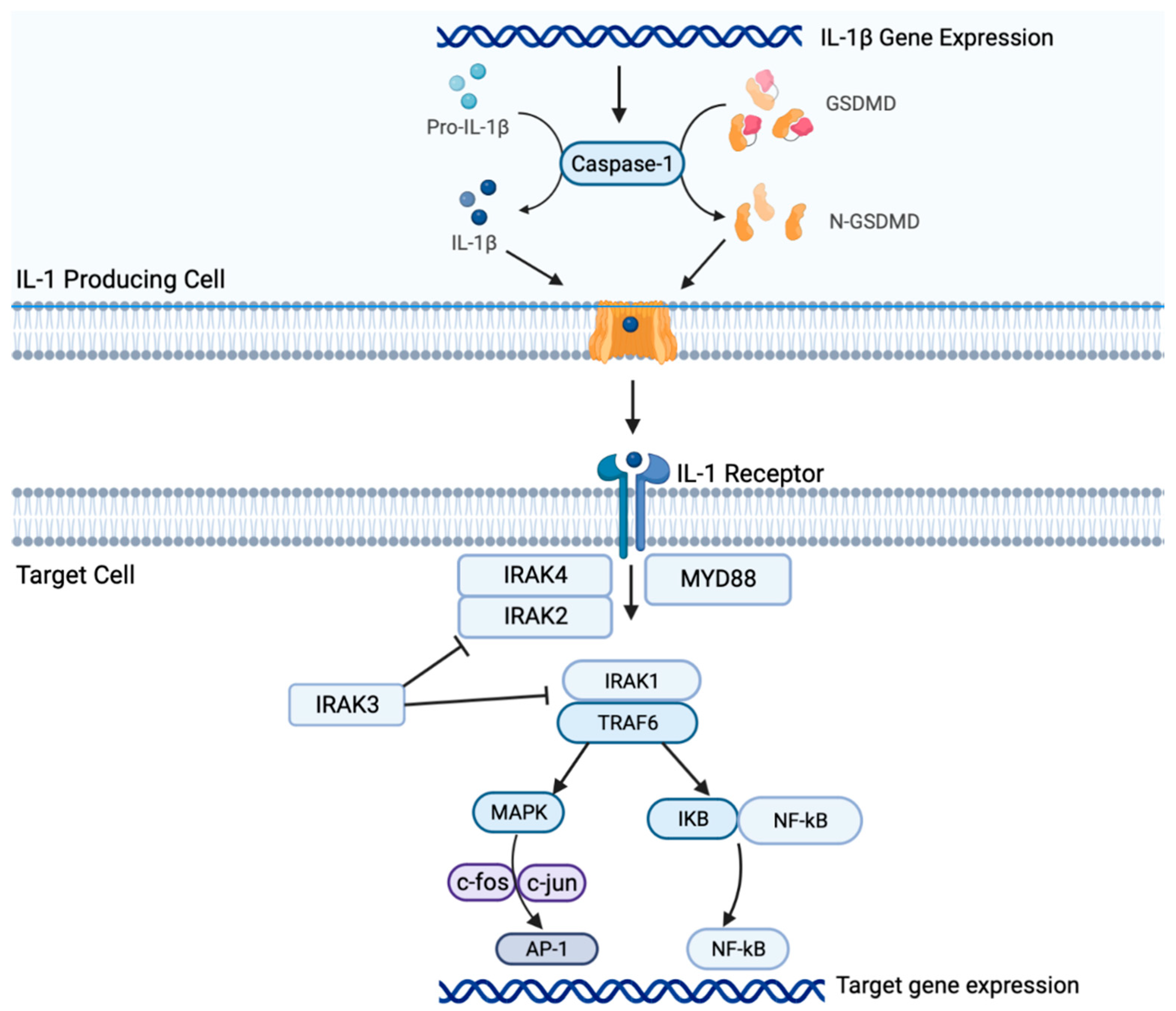 Ijms 24 11547 g001 Ijms 24 11547 g001