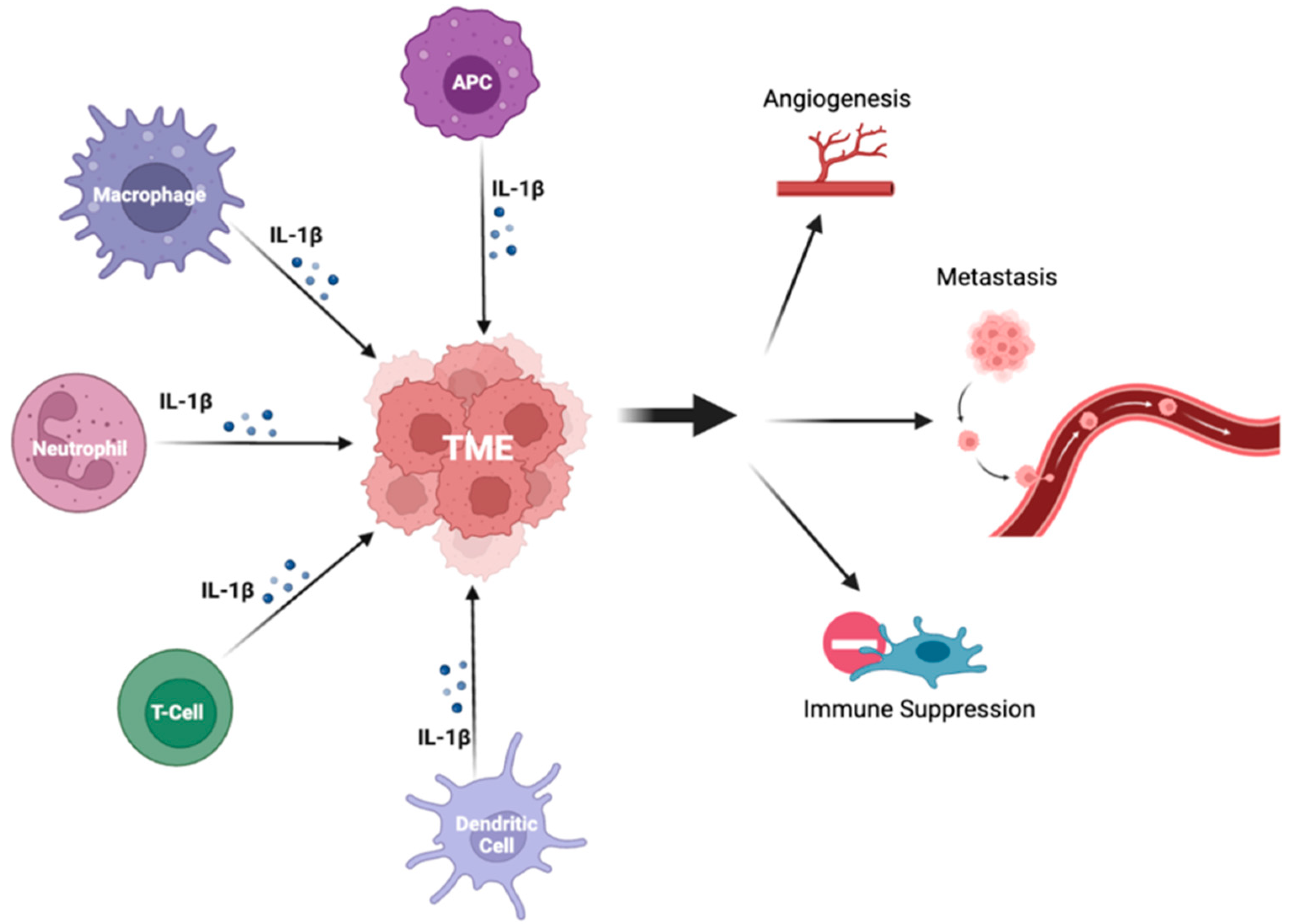 Ijms 24 11547 g002 Ijms 24 11547 g002