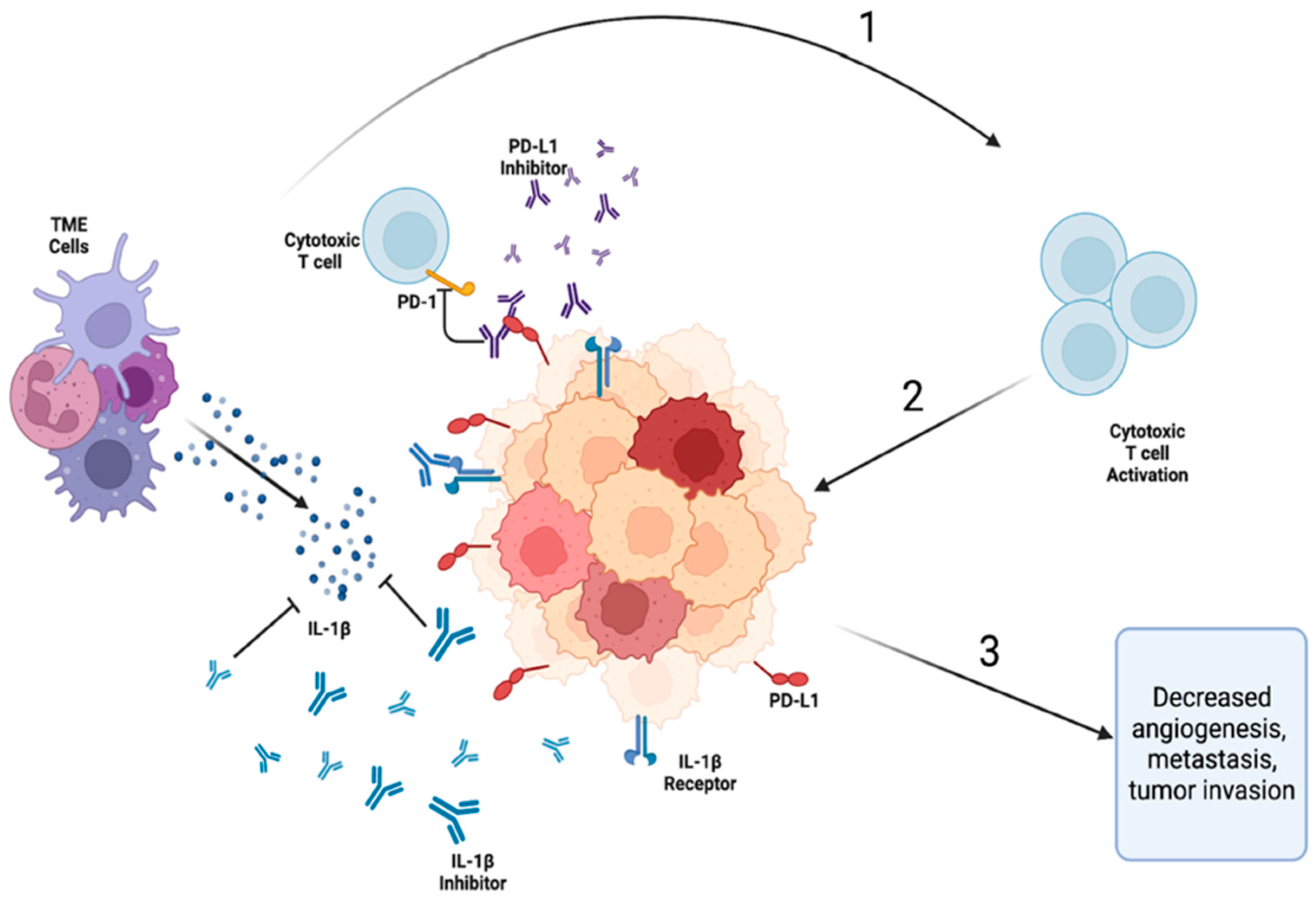 Ijms 24 11547 g003 Ijms 24 11547 g003