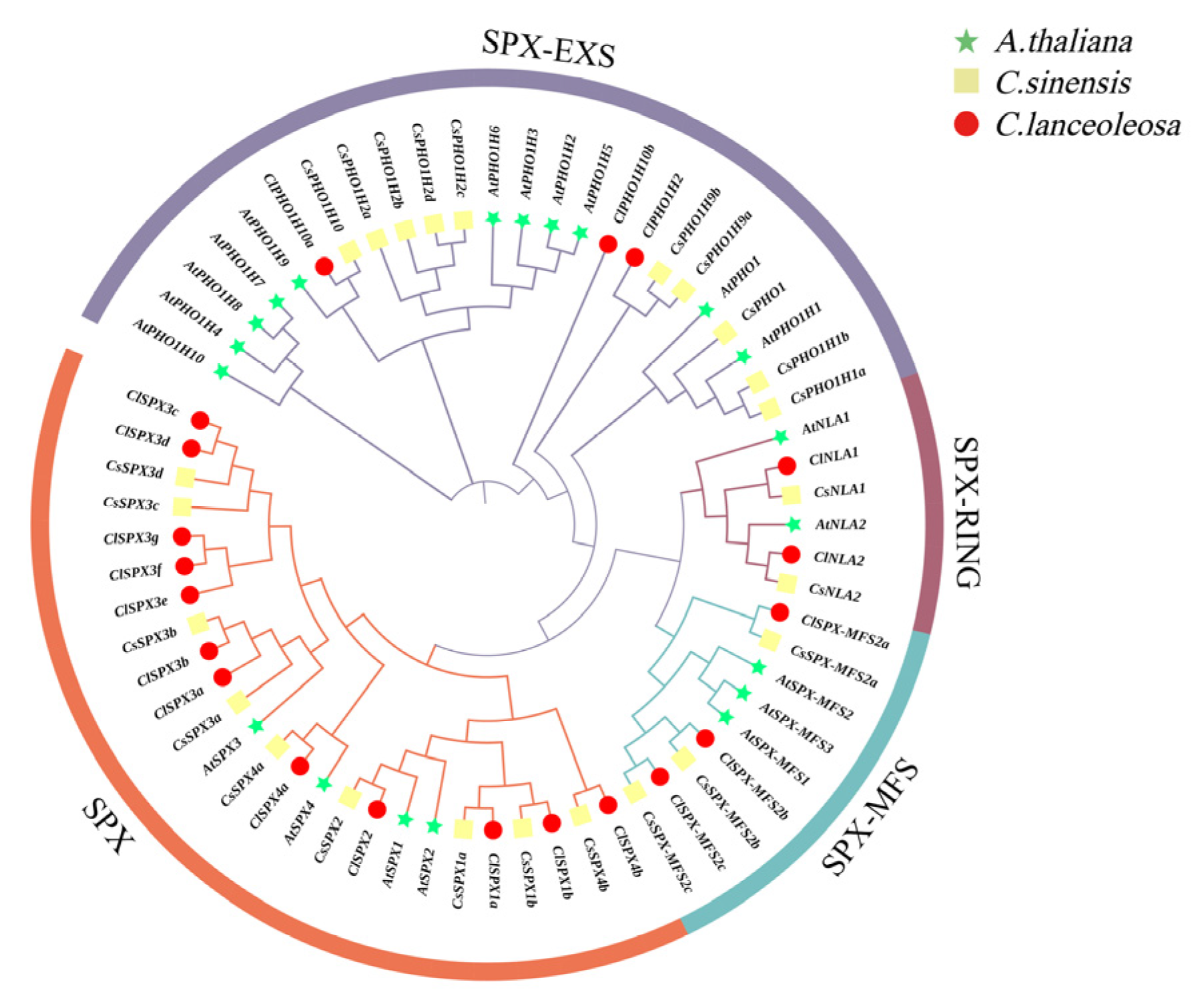 Ijms 24 11552 g001 Ijms 24 11552 g001