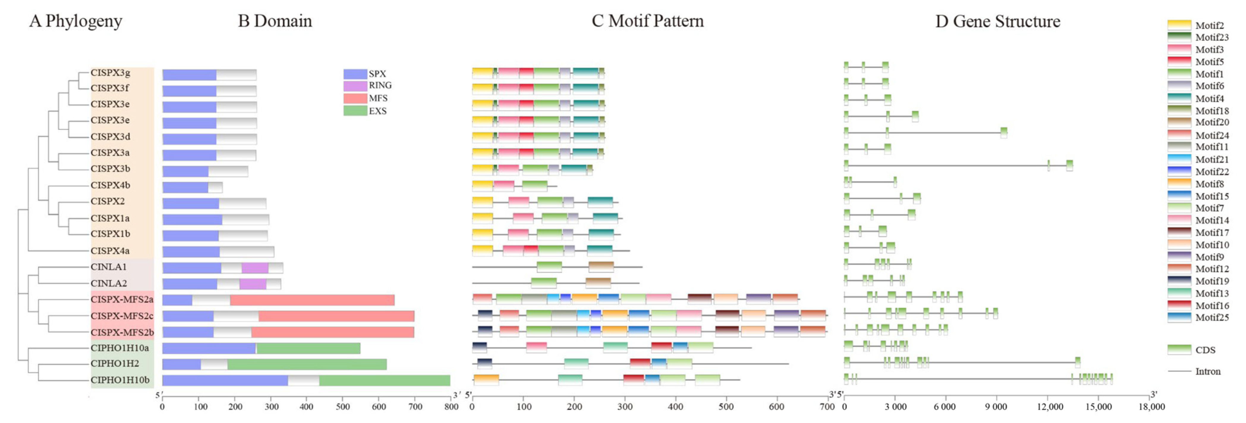 Ijms 24 11552 g002 Ijms 24 11552 g002