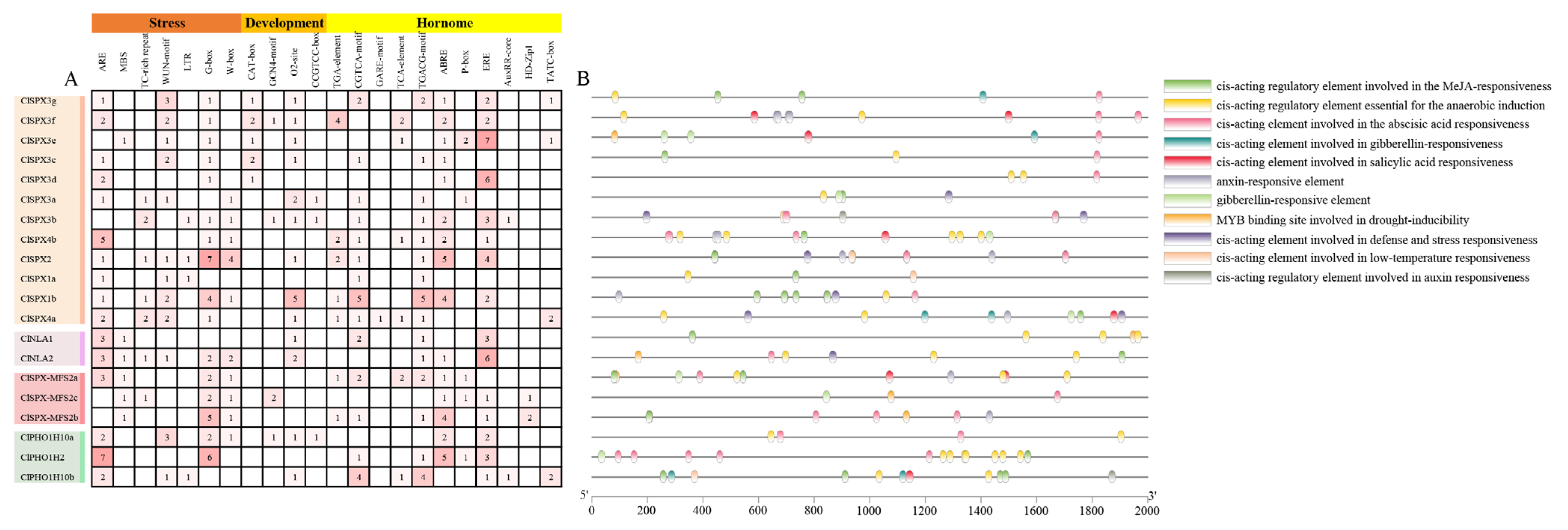Ijms 24 11552 g003 Ijms 24 11552 g003