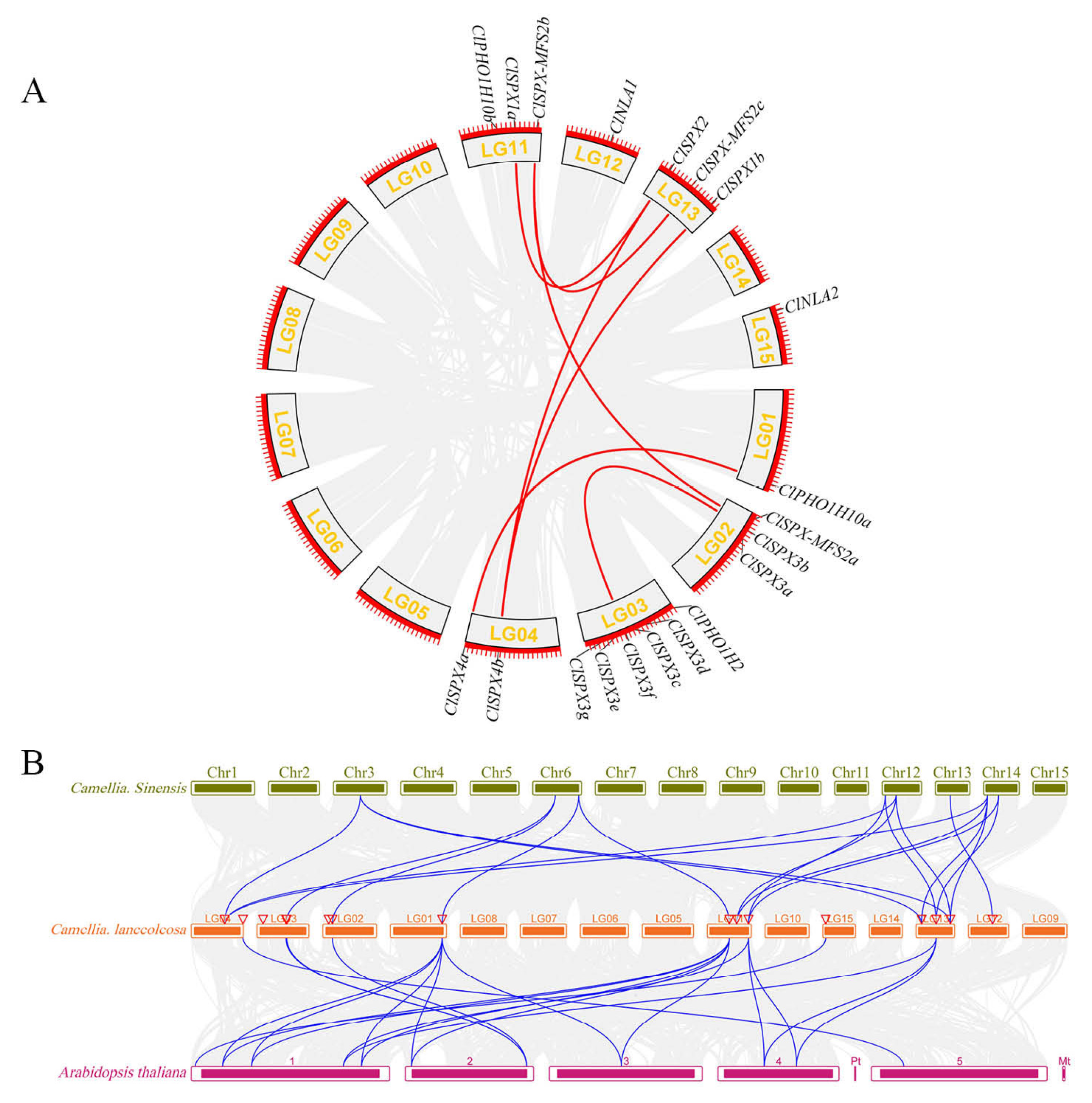 Ijms 24 11552 g004 Ijms 24 11552 g004