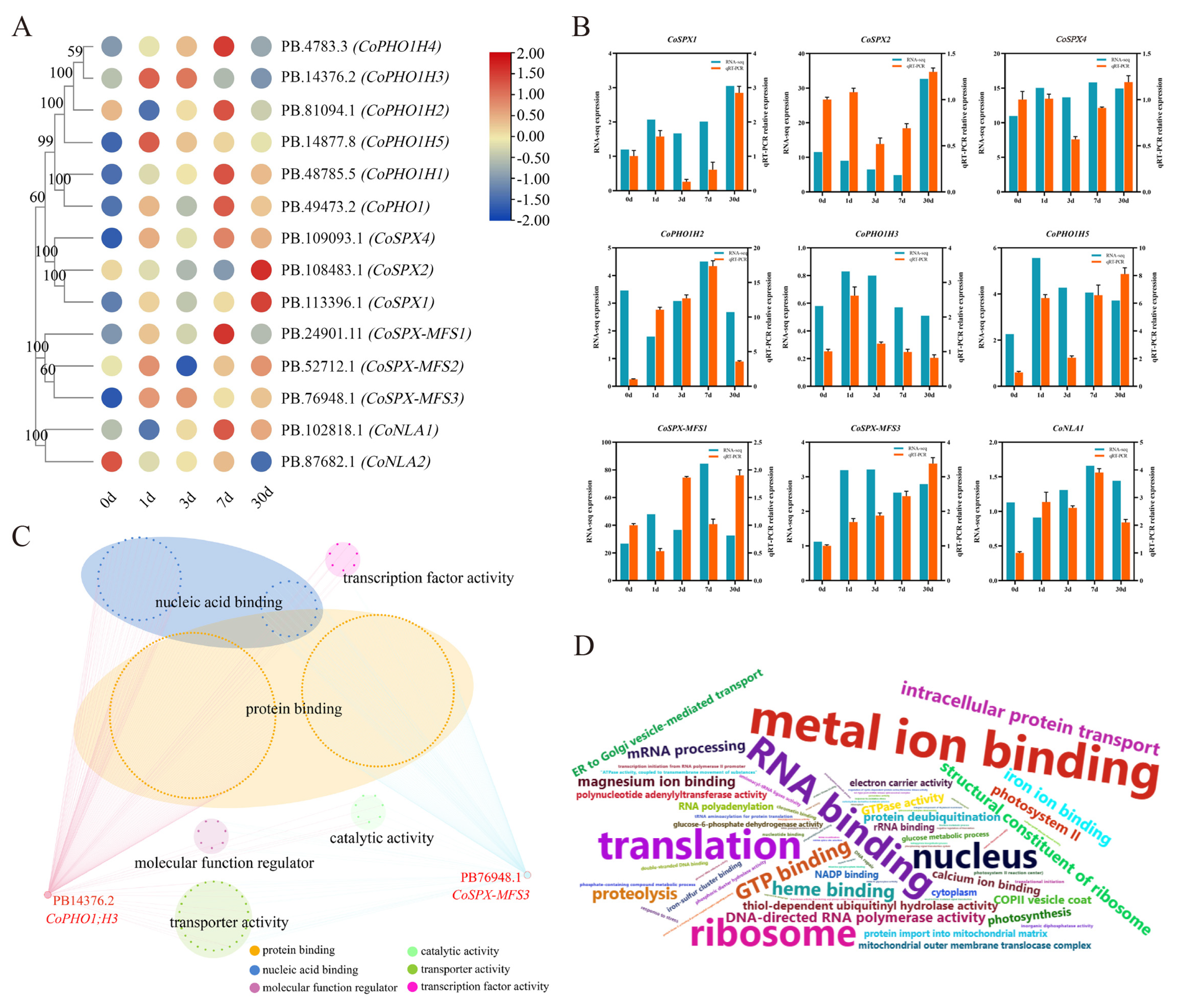 Ijms 24 11552 g005 Ijms 24 11552 g005