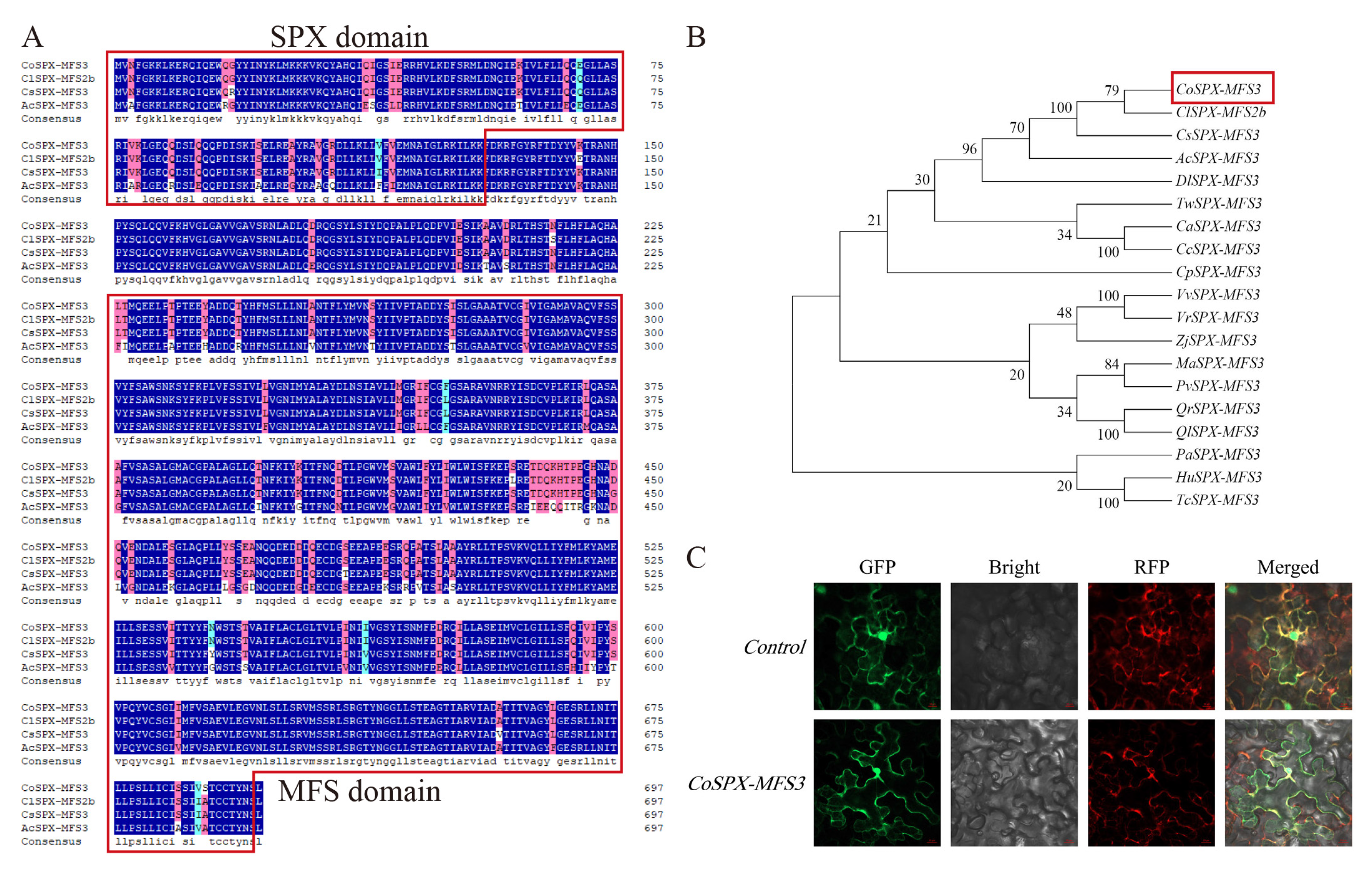 Ijms 24 11552 g006 Ijms 24 11552 g006