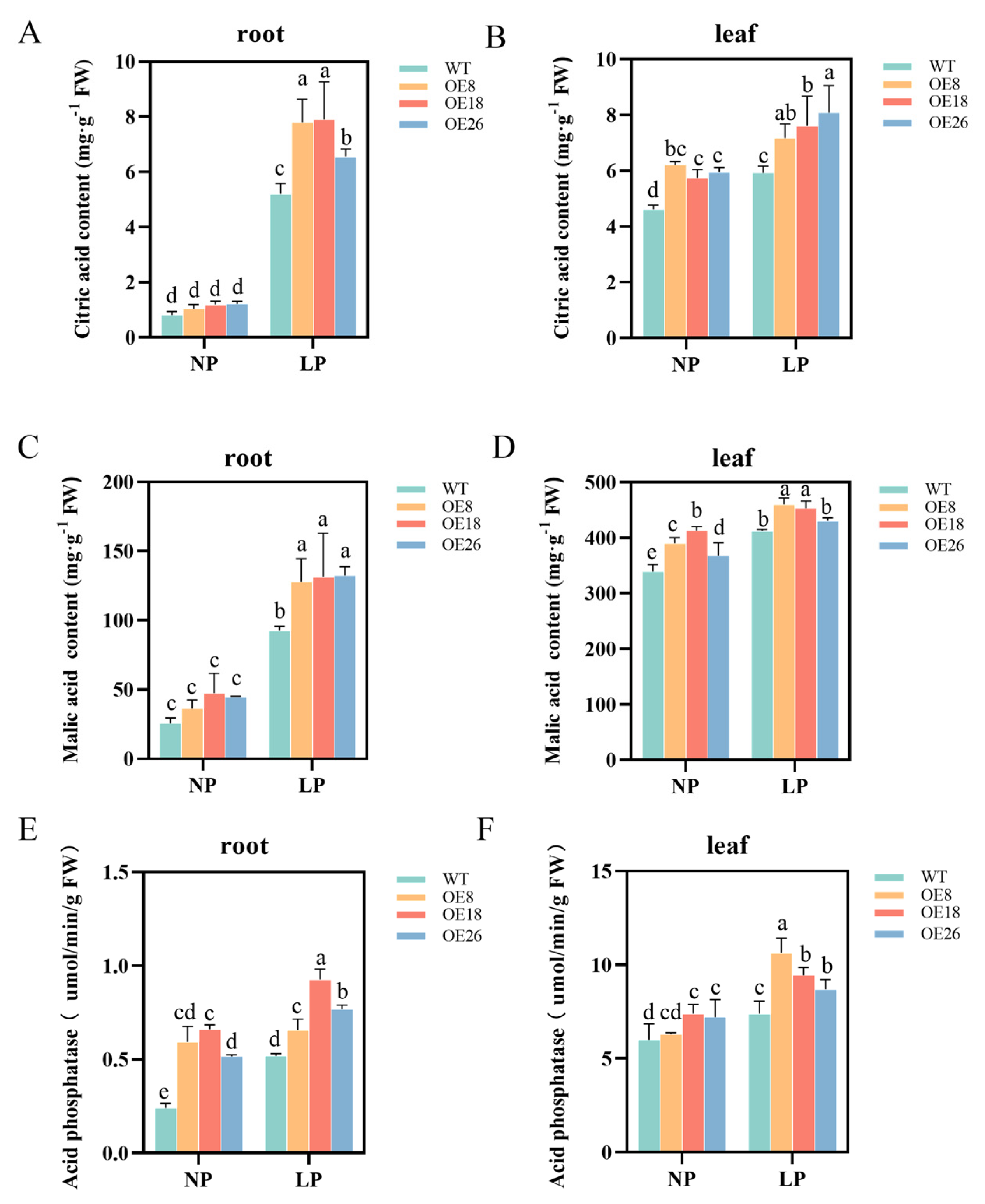 Ijms 24 11552 g008 Ijms 24 11552 g008