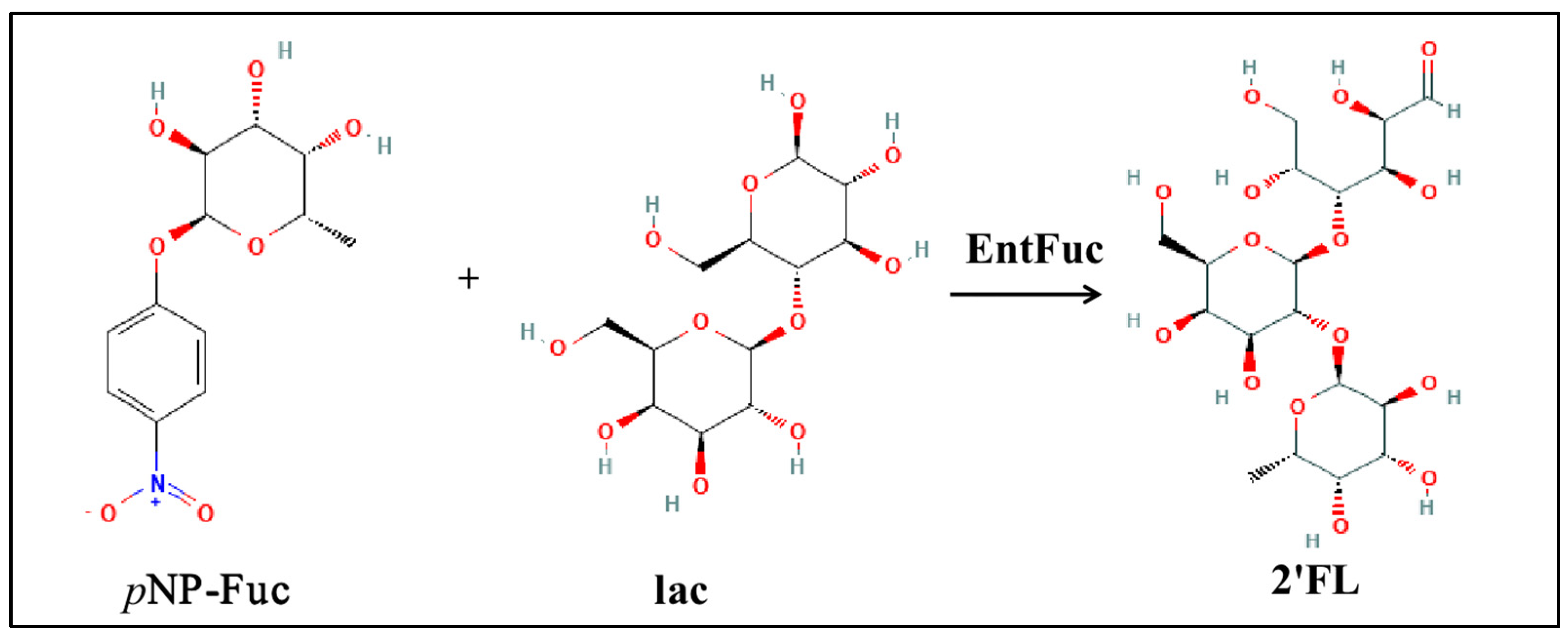 Ijms 24 11555 g001 Ijms 24 11555 g001