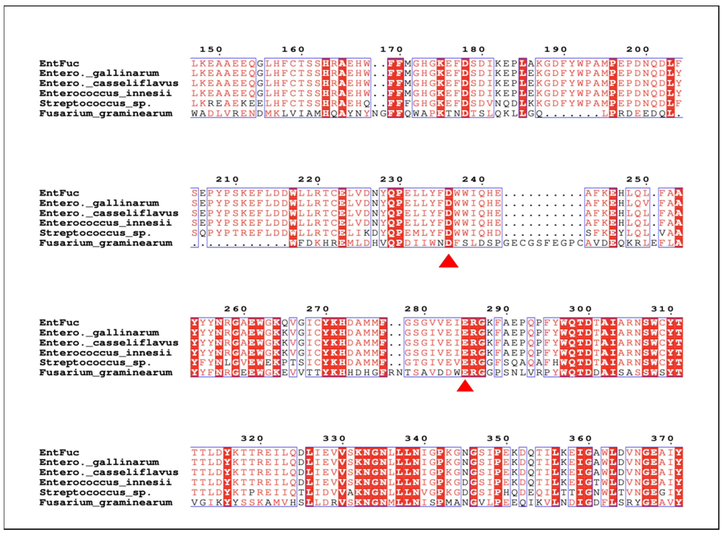 Ijms 24 11555 g002 Ijms 24 11555 g002