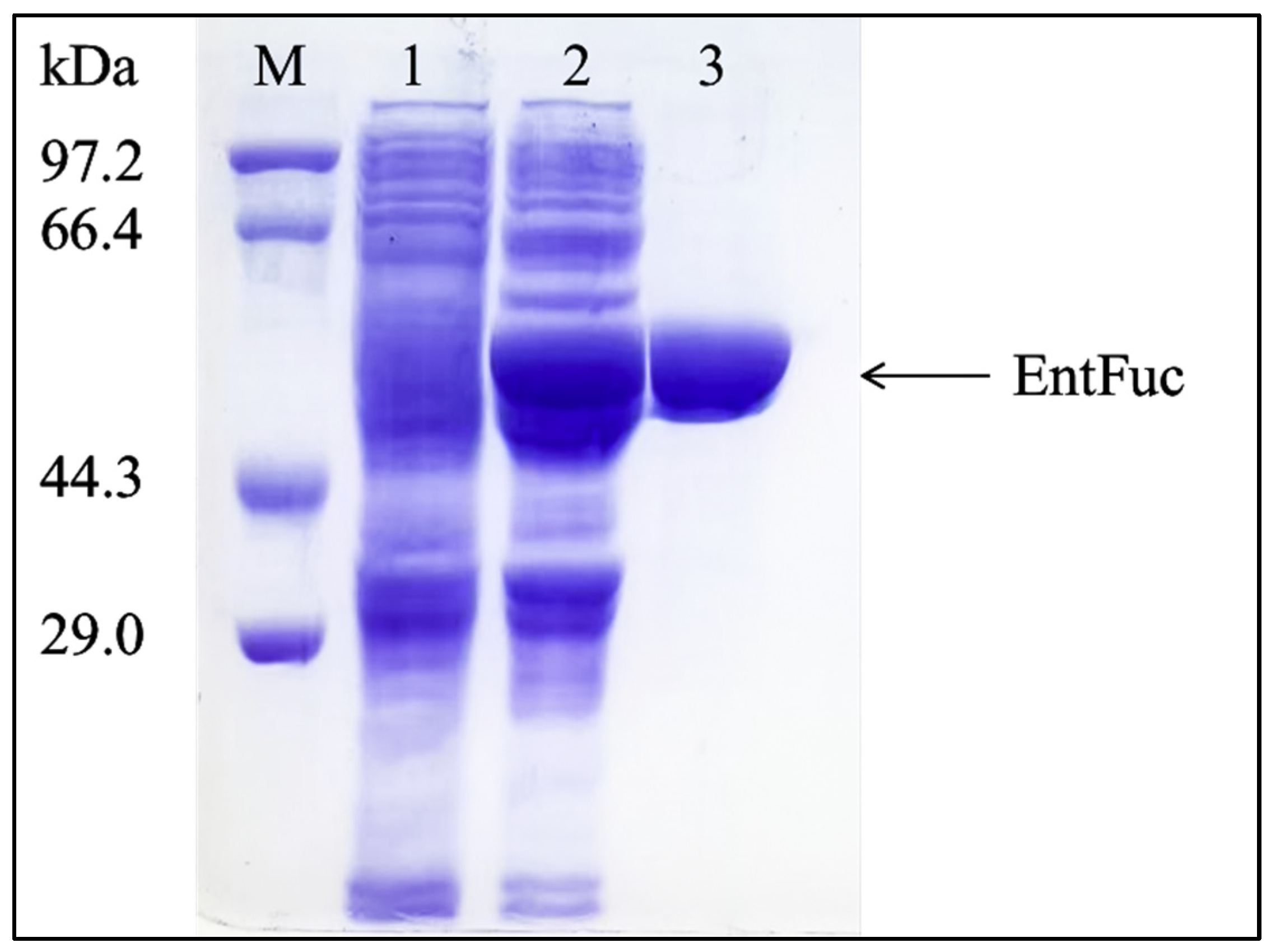 Ijms 24 11555 g004 Ijms 24 11555 g004