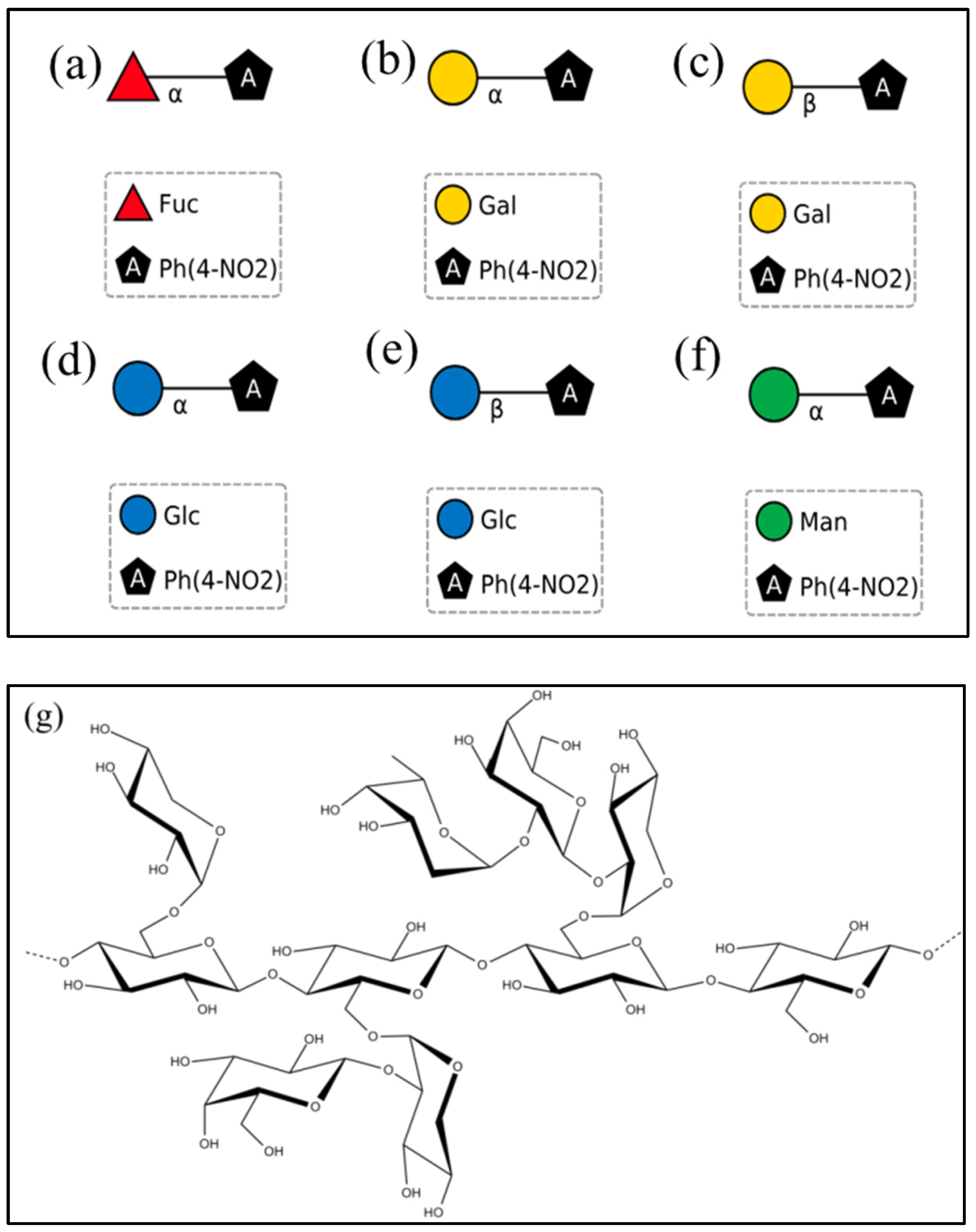 Ijms 24 11555 g007 Ijms 24 11555 g007