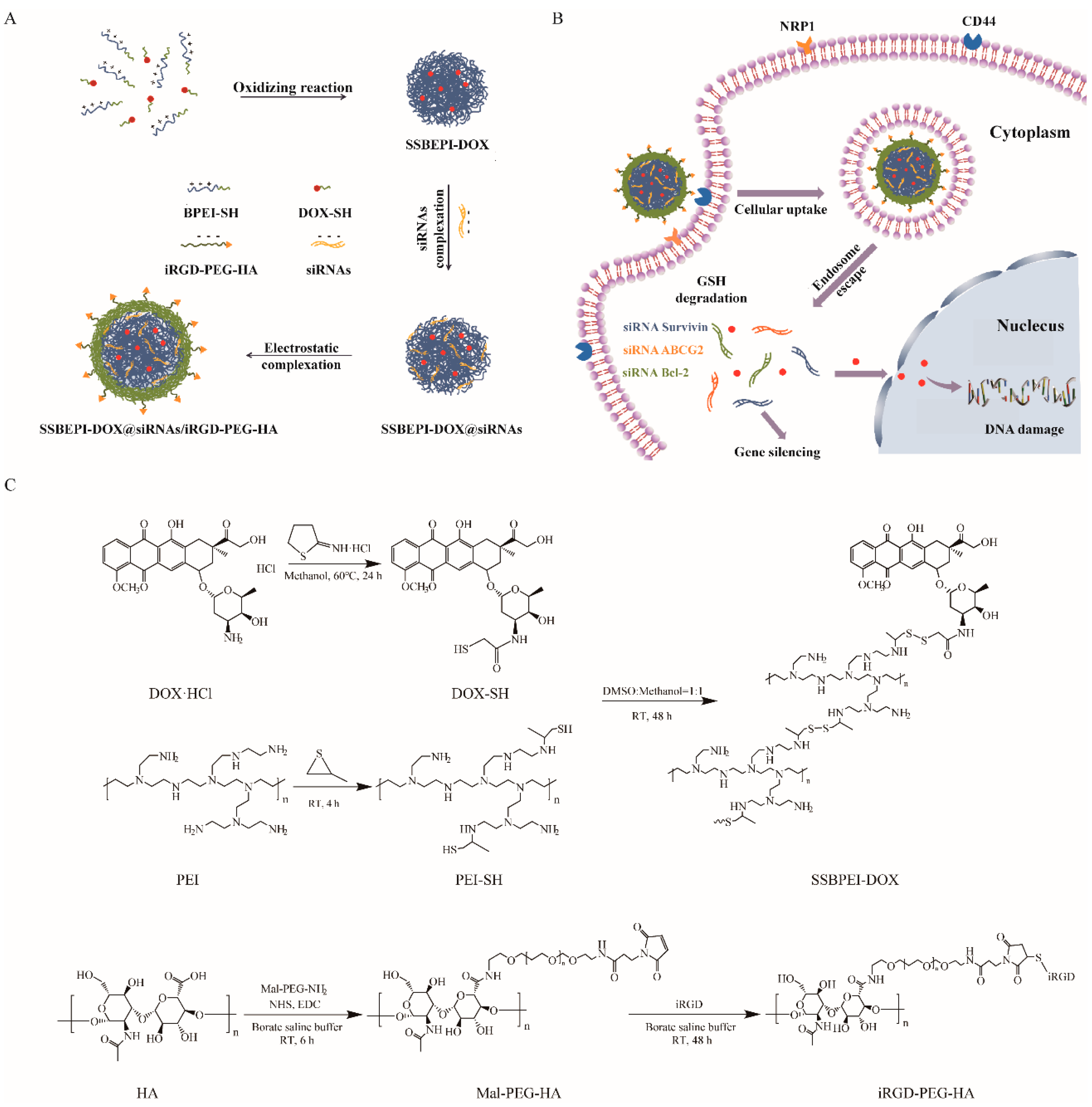 Ijms 24 11575 sch001