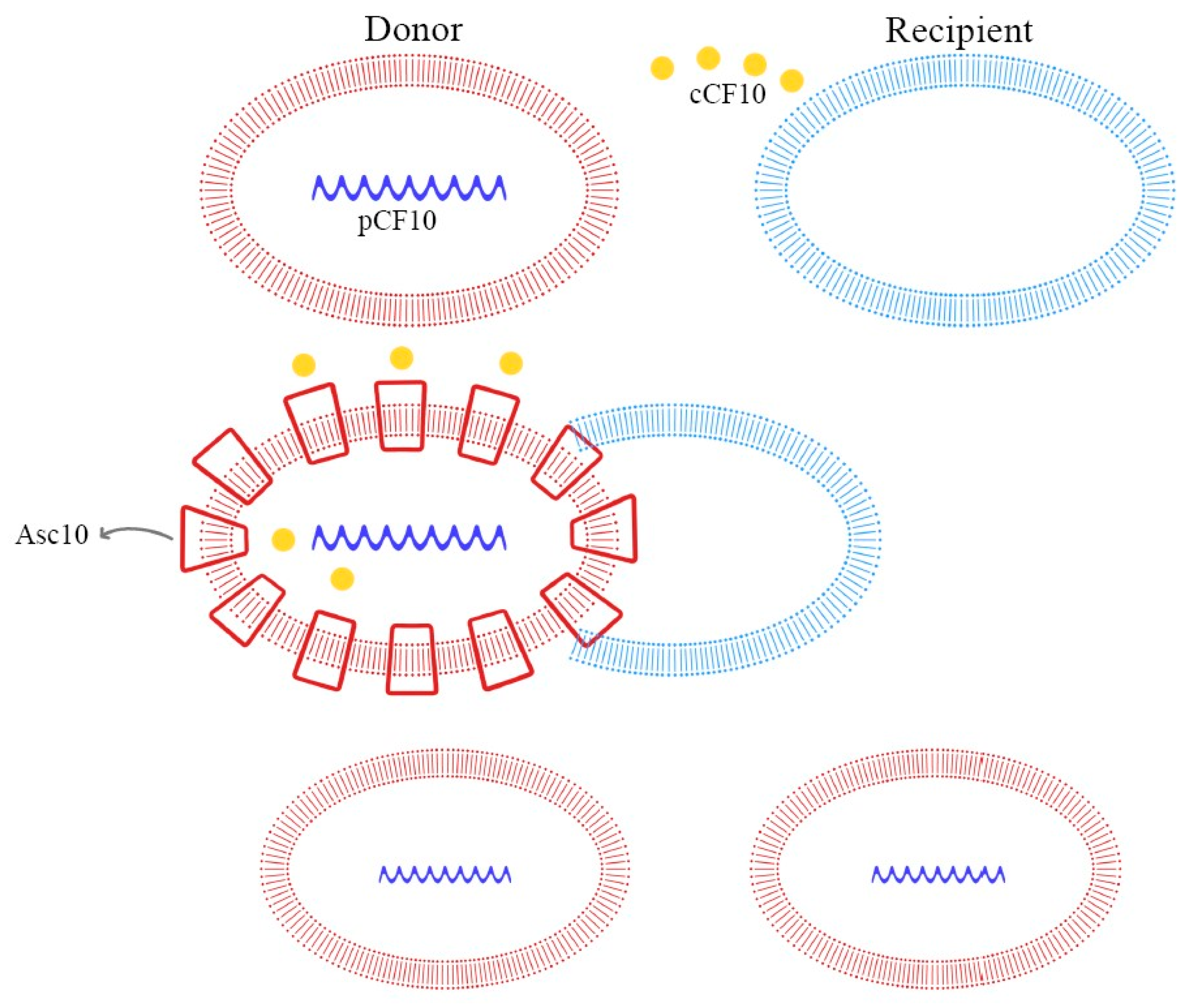 Ijms 24 11577 g004 Ijms 24 11577 g004