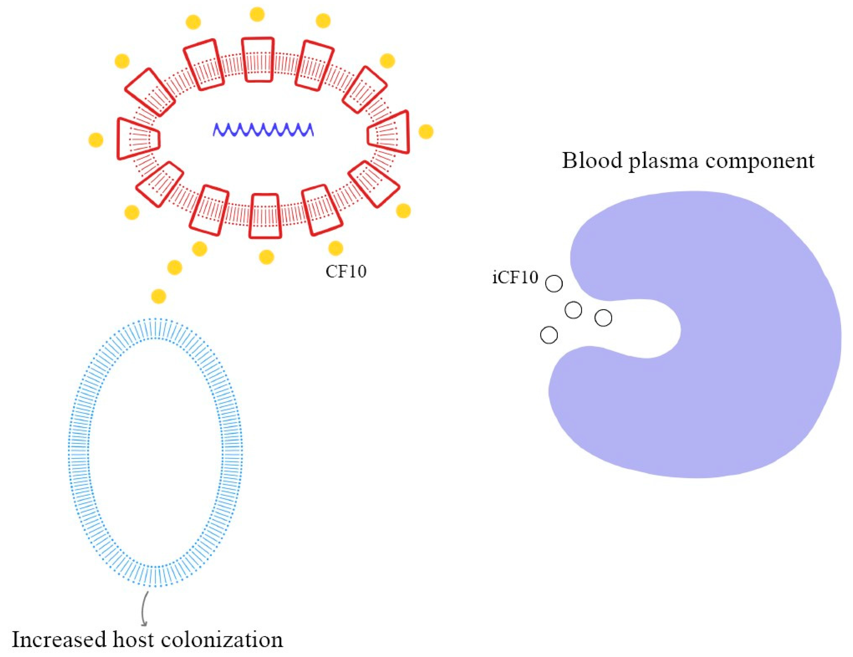 Ijms 24 11577 g005 Ijms 24 11577 g005