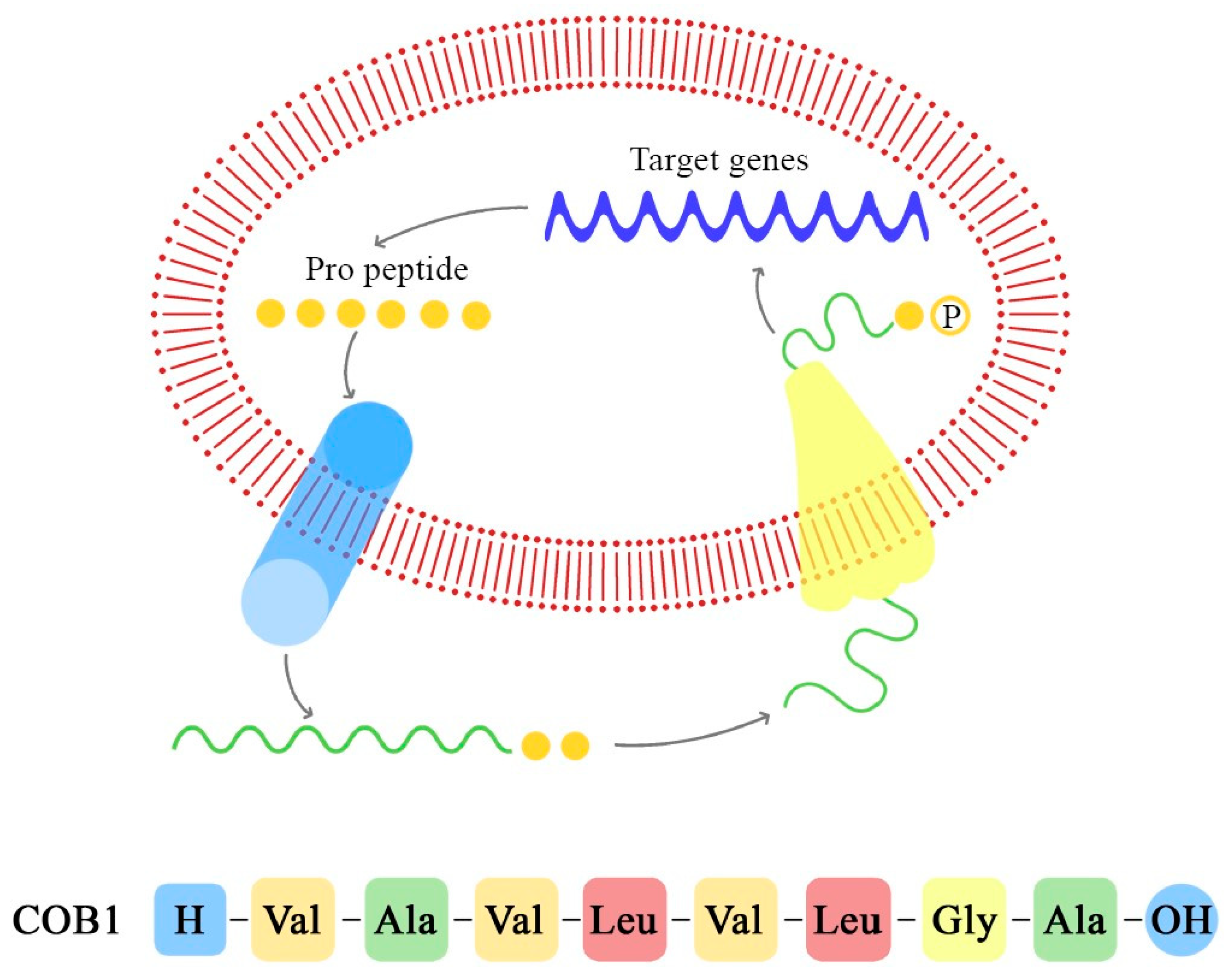 Ijms 24 11577 g006 Ijms 24 11577 g006