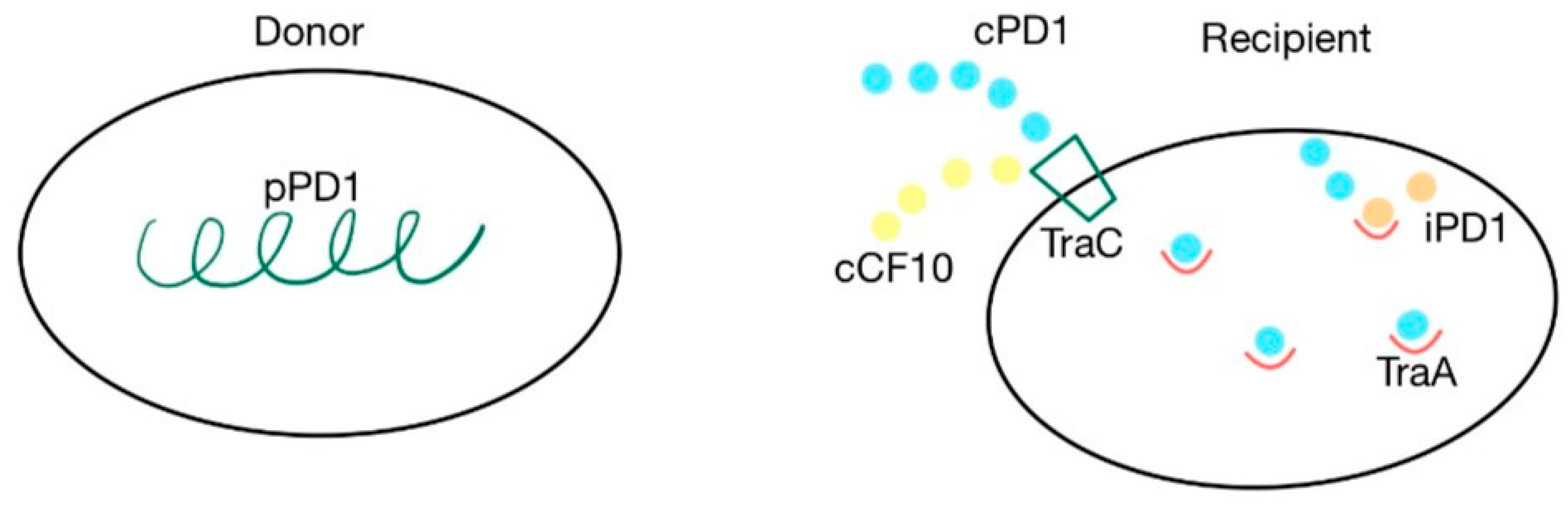 Ijms 24 11577 g007 Ijms 24 11577 g007