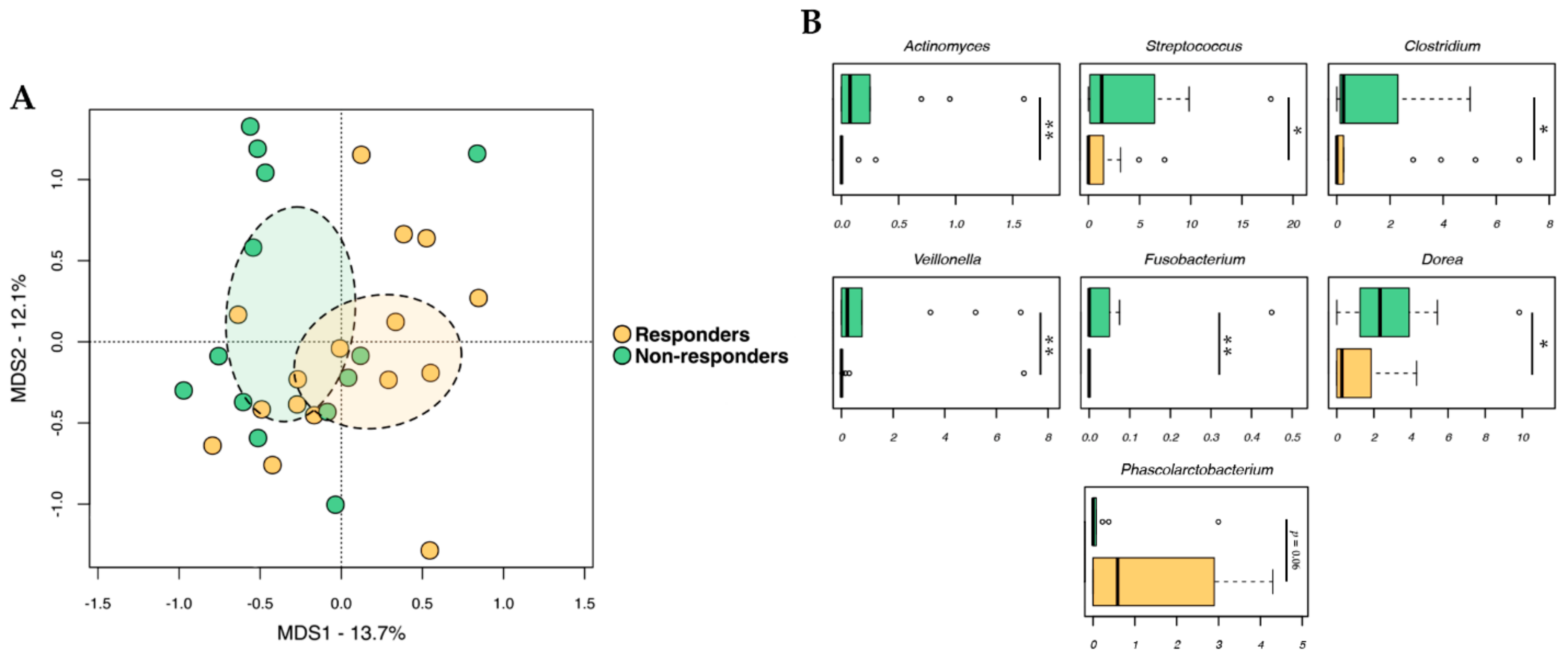 Ijms 24 11611 g001 Ijms 24 11611 g001