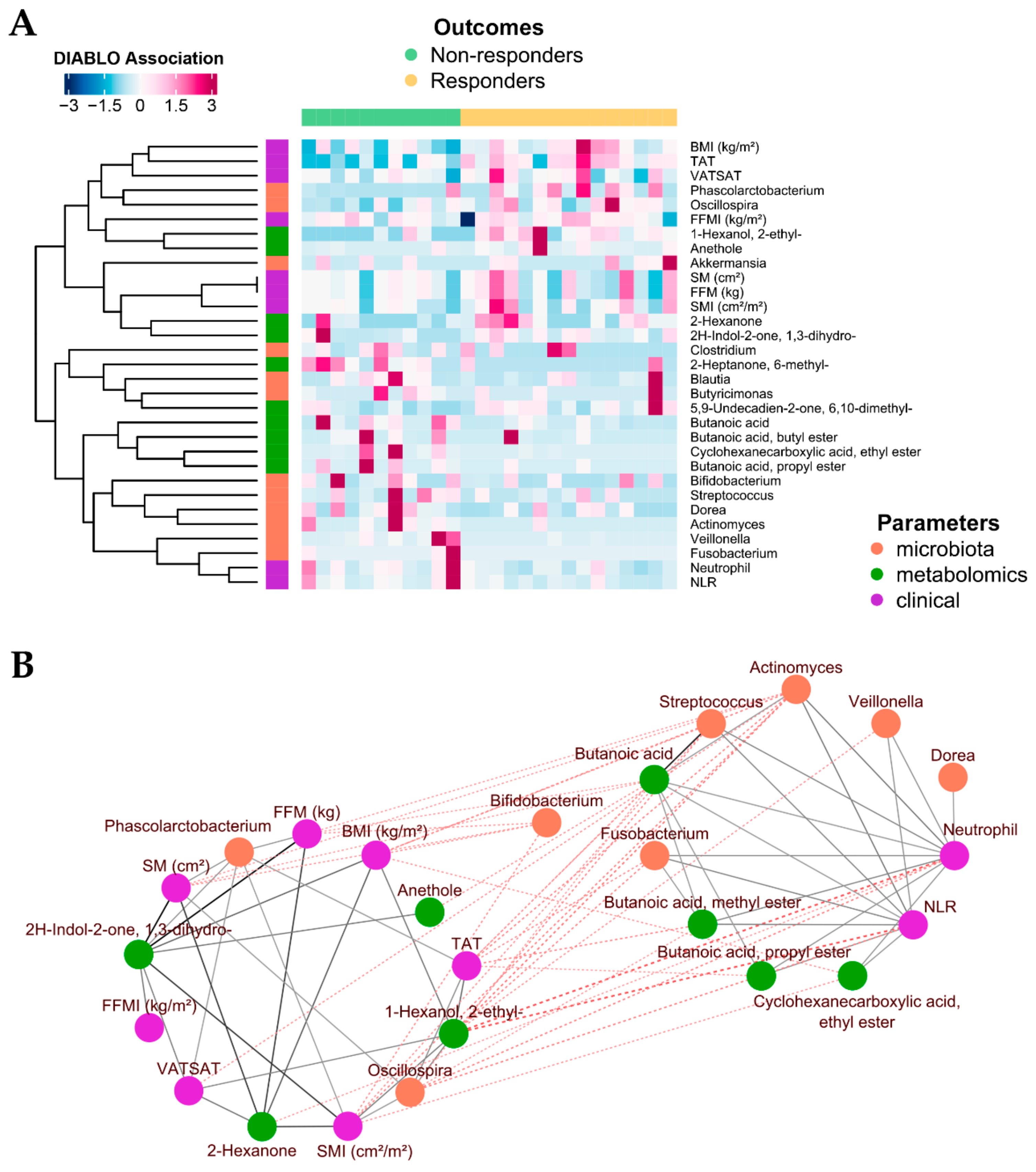Ijms 24 11611 g003 Ijms 24 11611 g003