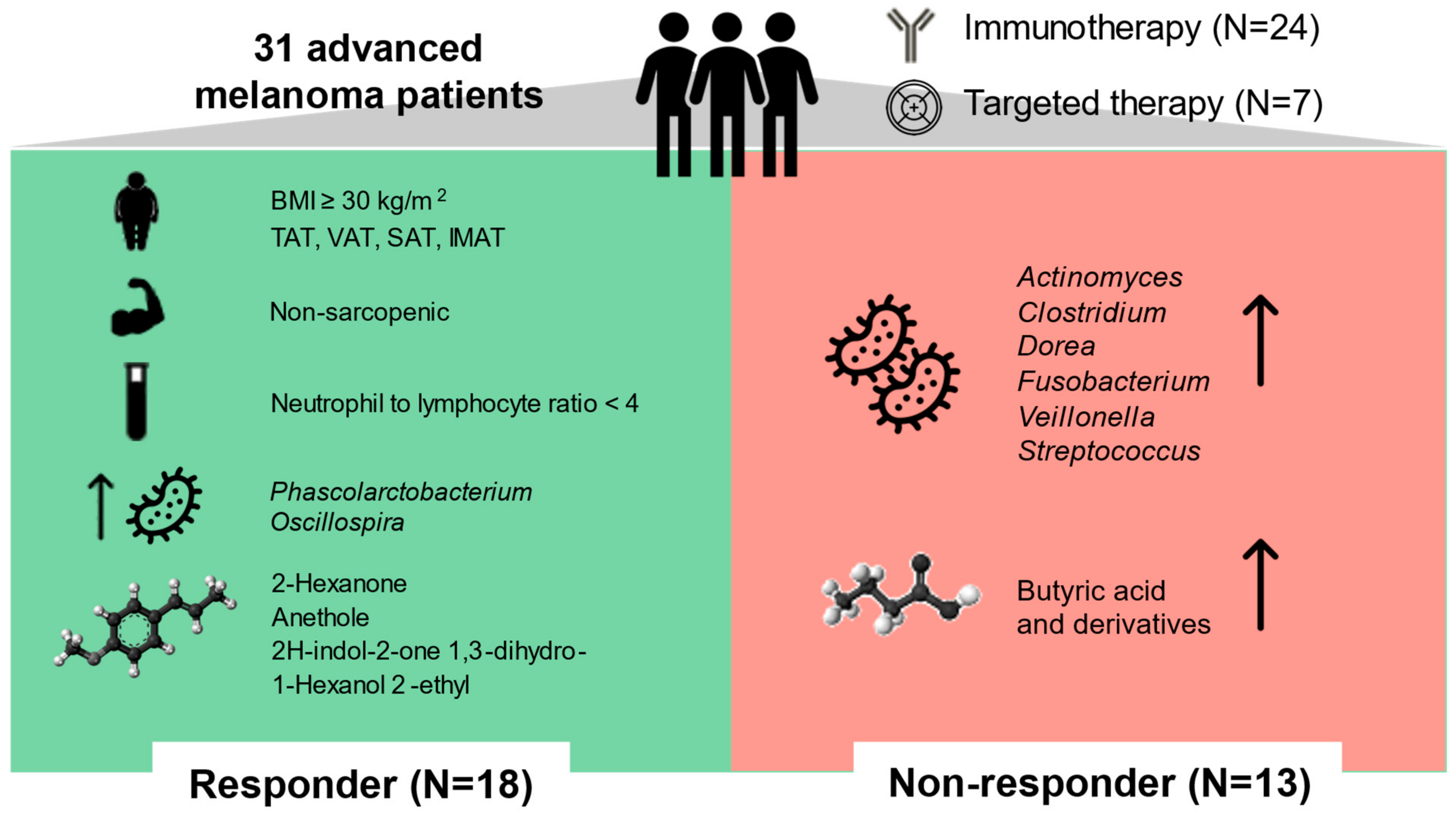 Ijms 24 11611 g006 Ijms 24 11611 g006