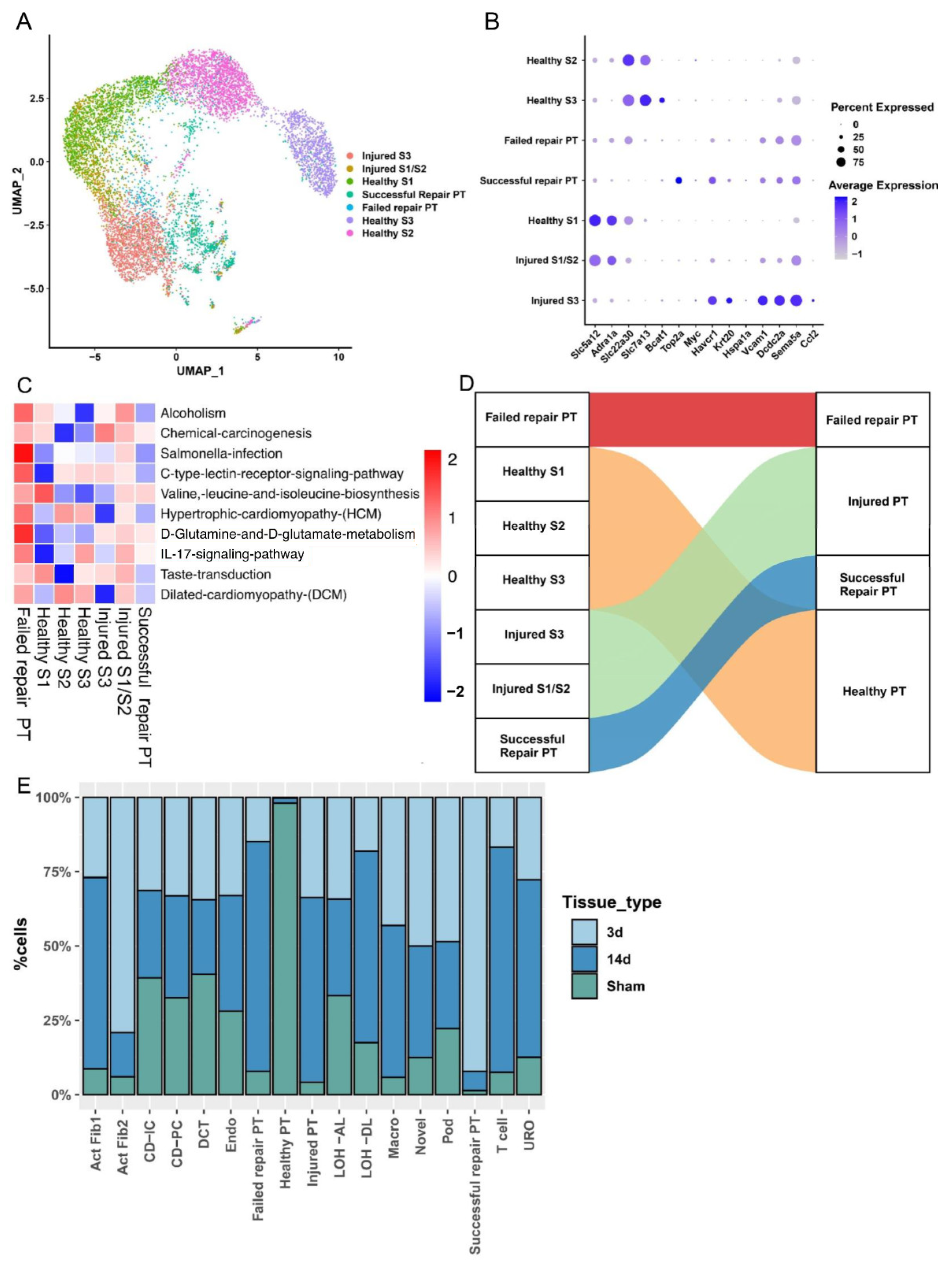 Ijms 24 11617 g002 Ijms 24 11617 g002