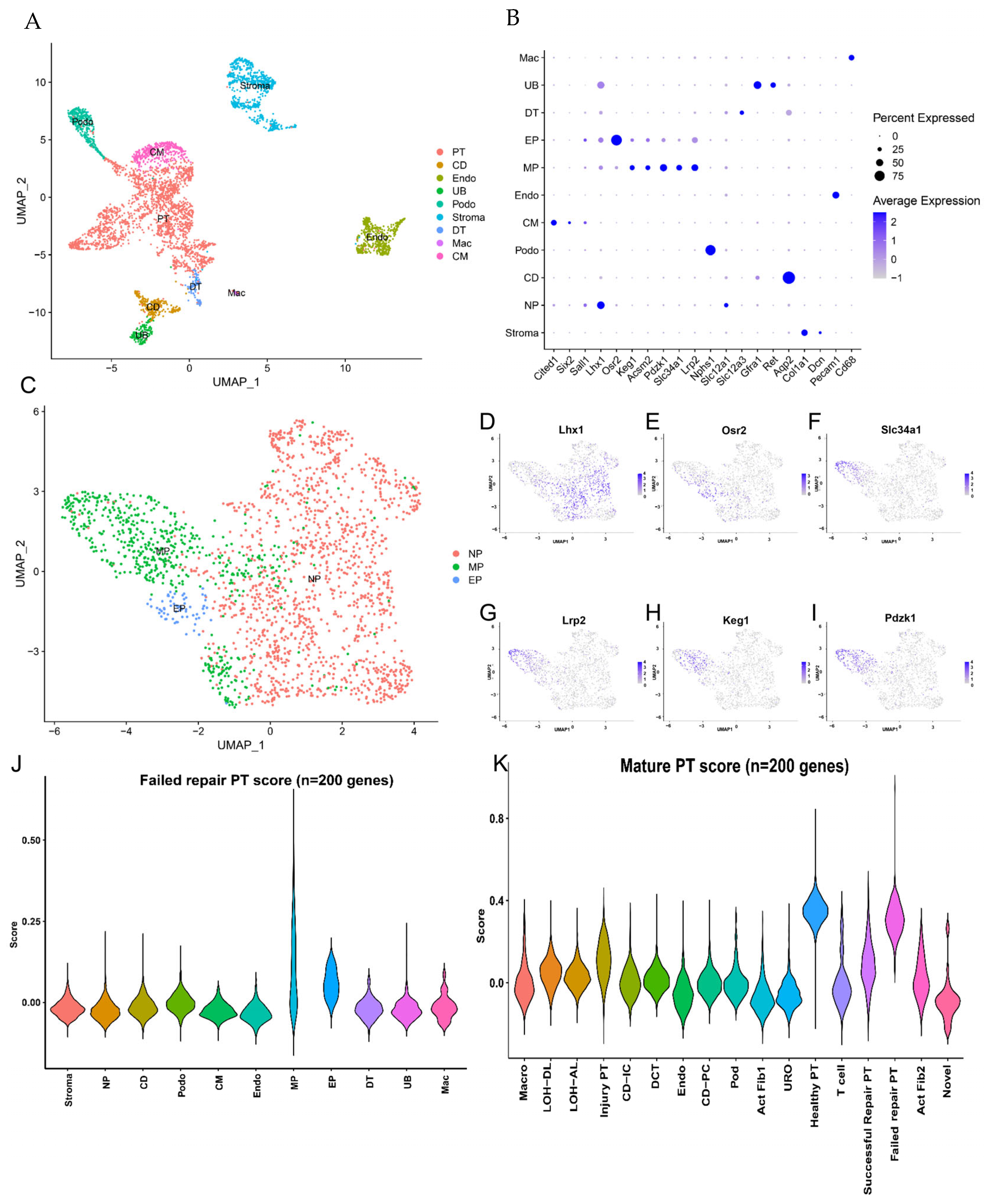 Ijms 24 11617 g004 Ijms 24 11617 g004