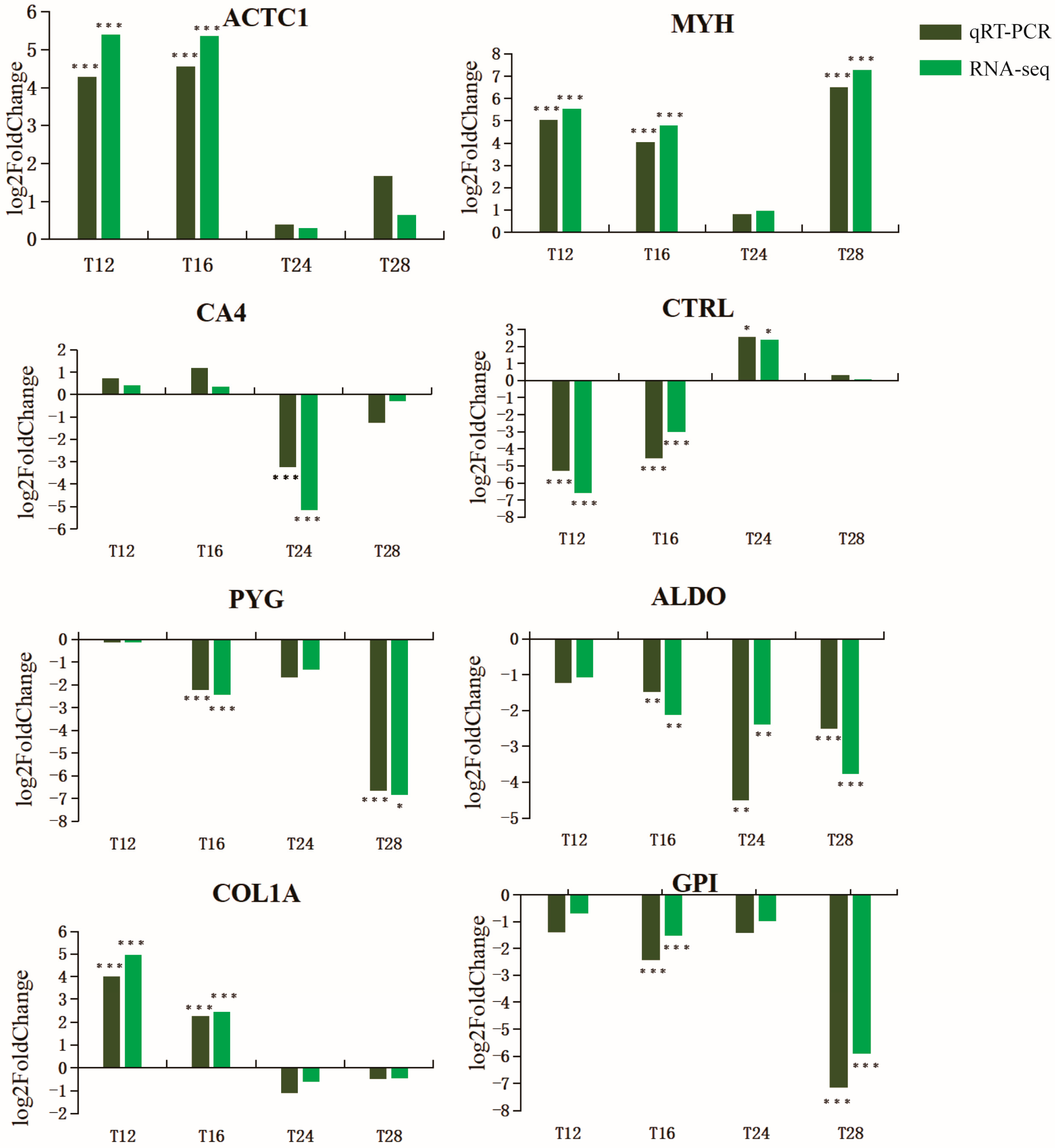 Ijms 24 11622 g004 Ijms 24 11622 g004