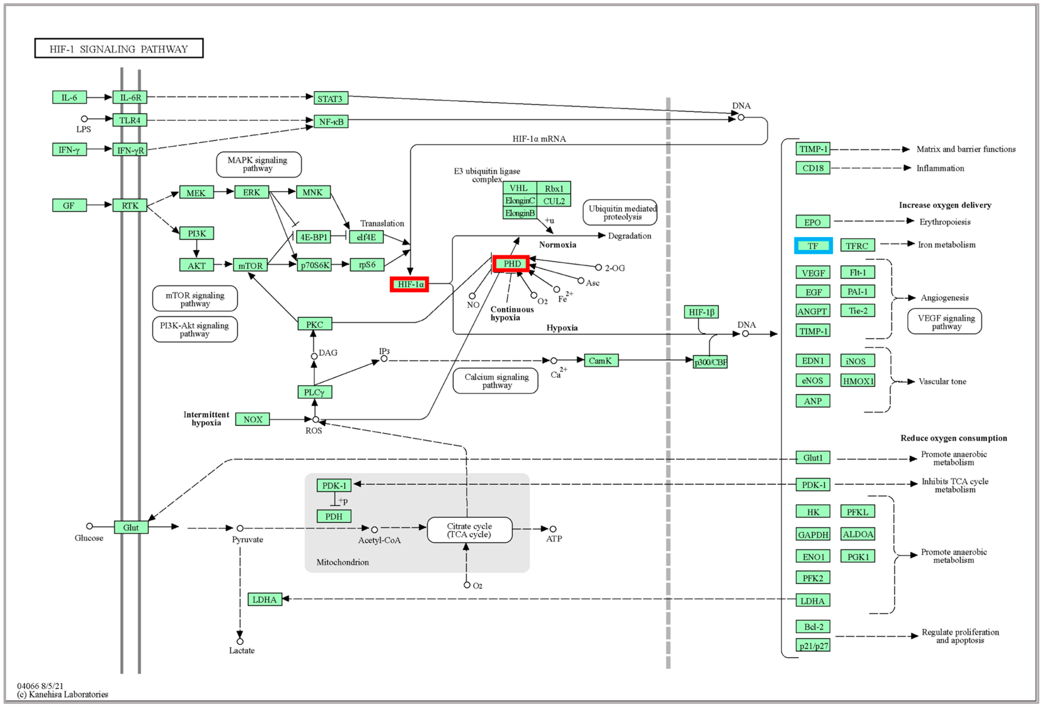 Ijms 24 11622 g006 Ijms 24 11622 g006