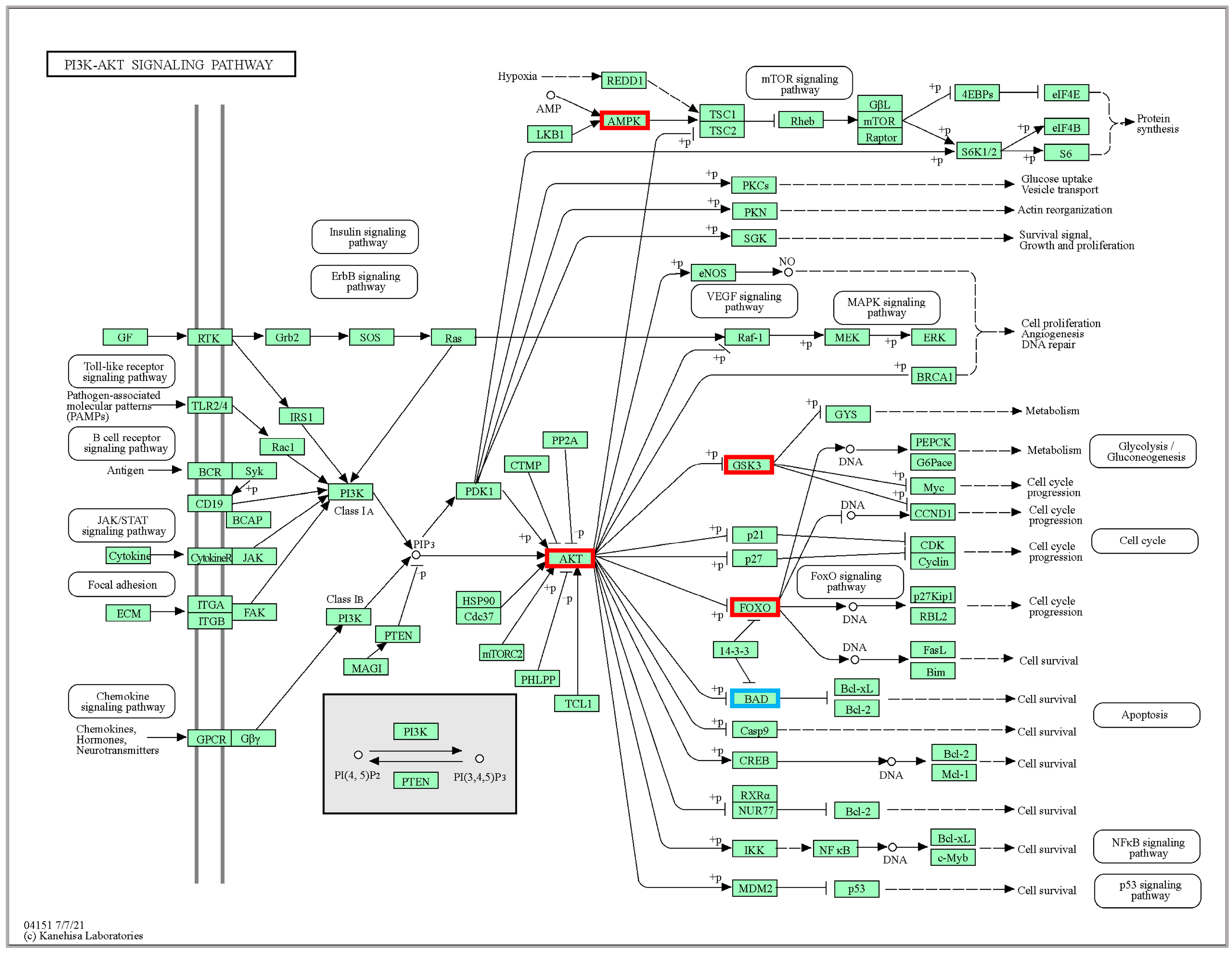 Ijms 24 11622 g007 Ijms 24 11622 g007