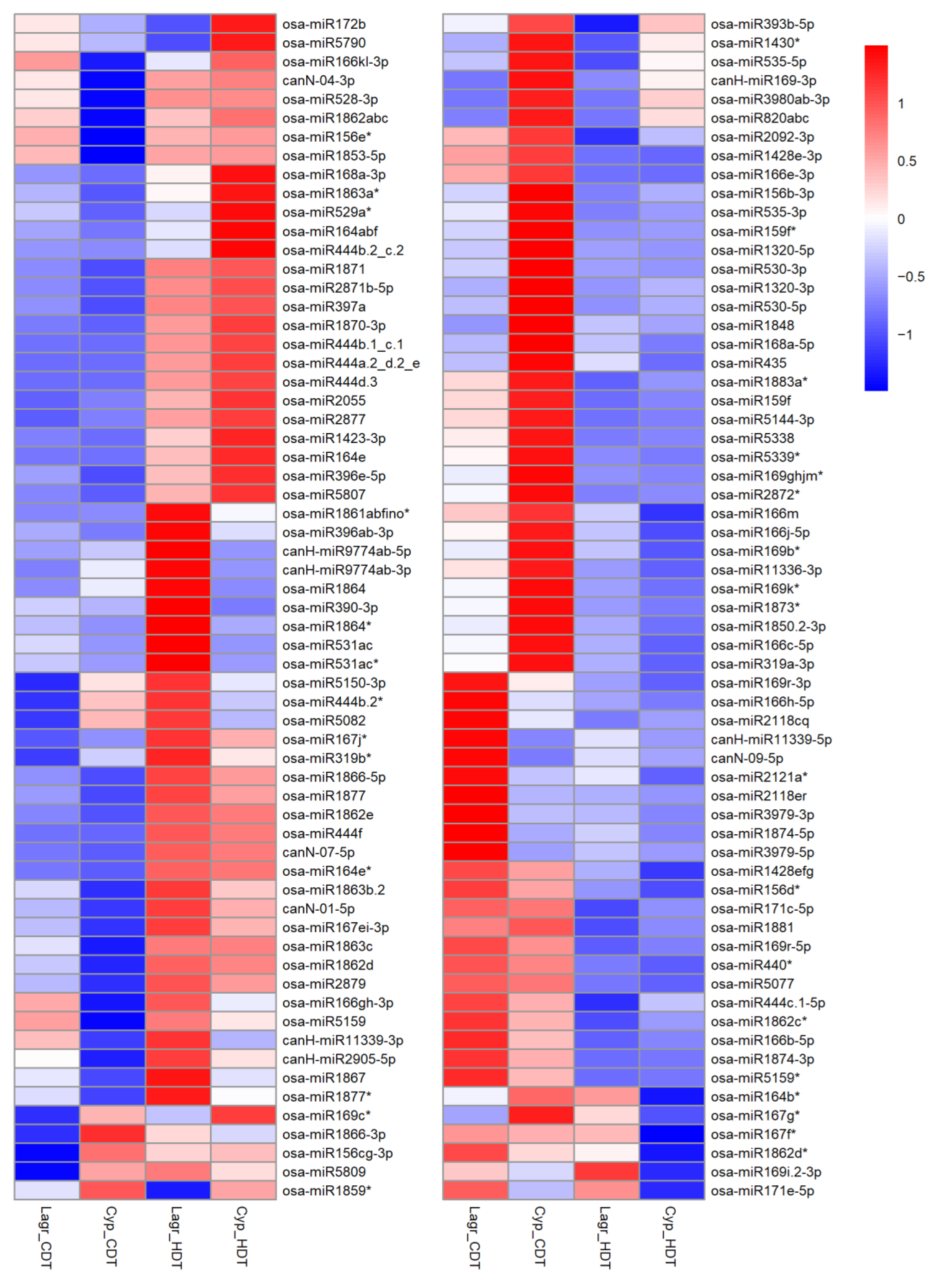 Ijms 24 11631 g004 Ijms 24 11631 g004